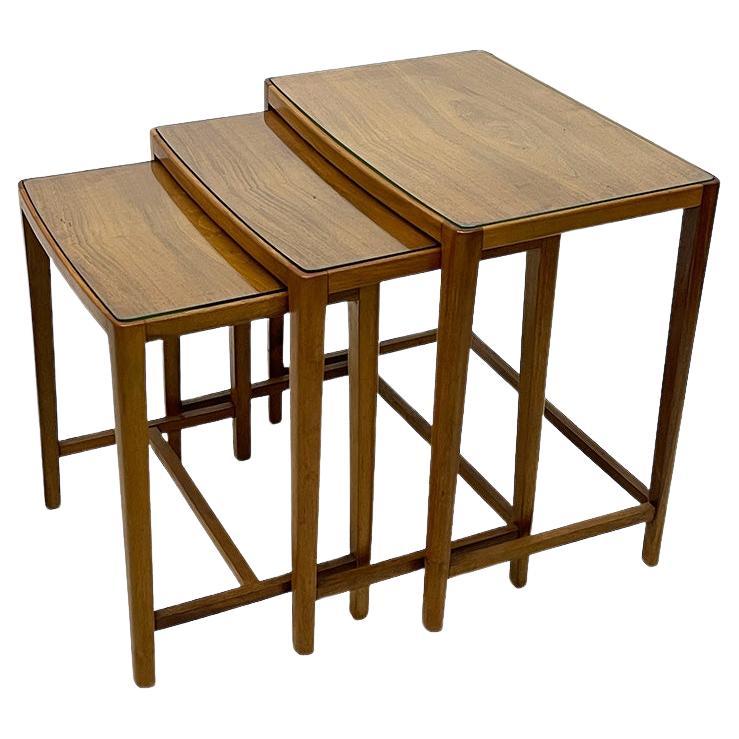 Mid 20th Century Scandinavian Nesting table set For Sale