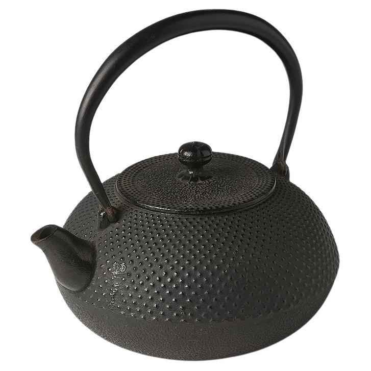 Mid-20th Century, Showa, Japanese Steel Teapot For Sale