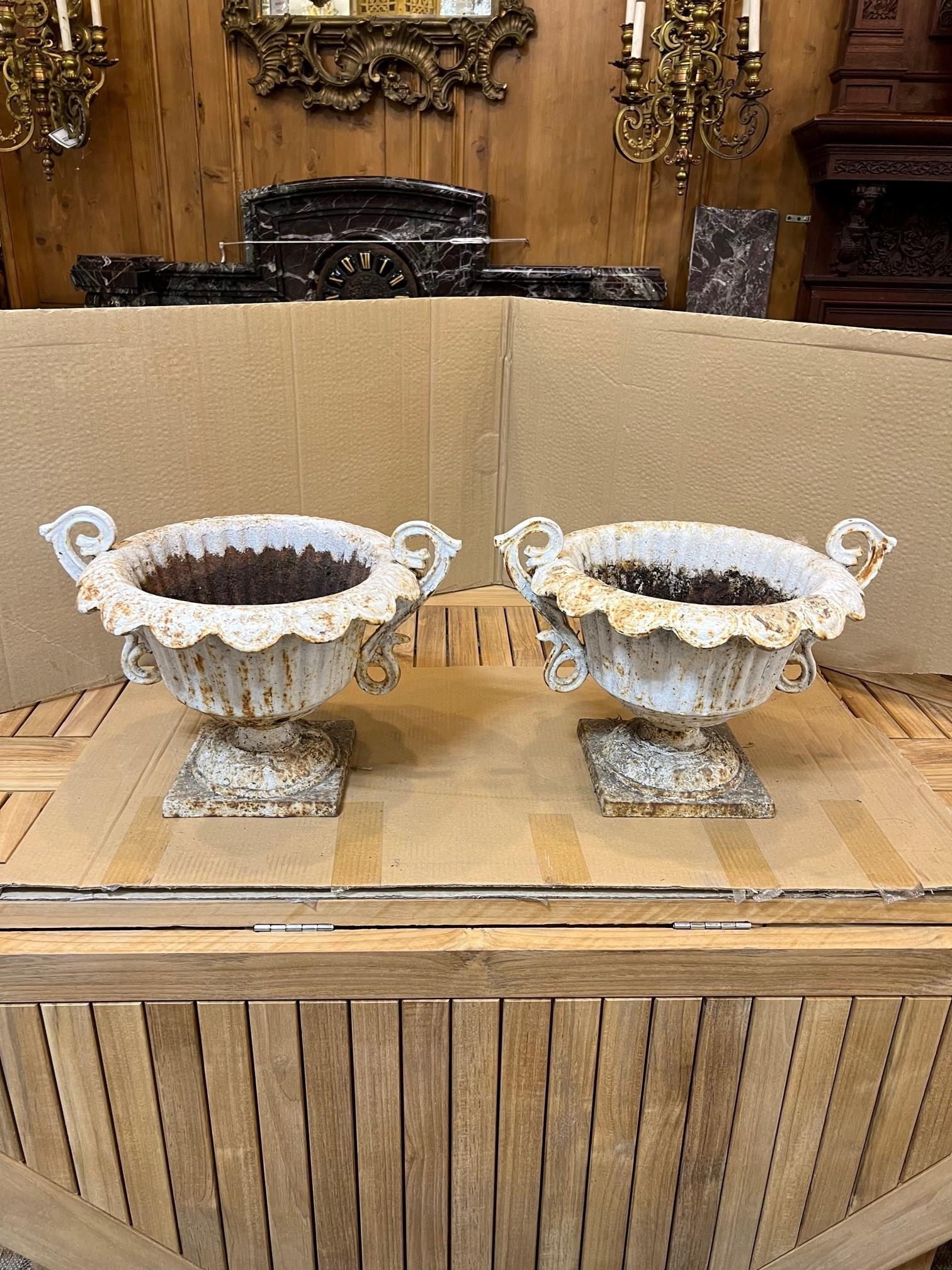 A great pair of Mid-20th century cast iron handle urns fluted with a square base. This small pair of urns came from an estate in Greenwich Ct. and are in good condition. A nice small pair of urns that would look amazing on a large table or garden