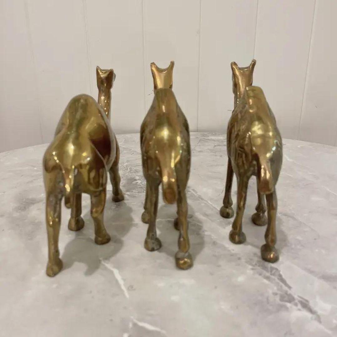Cammelli in ottone massiccio della metà del XX secolo - Set di tre pezzi in vendita 4