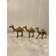 Cammelli in ottone massiccio della metà del XX secolo - Set di tre pezzi