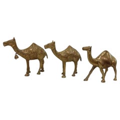 Vintage Mid 20th Century Solid Brass Camels - Set of Three
