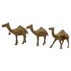 Cammelli in ottone massiccio della metà del XX secolo - Set di tre pezzi