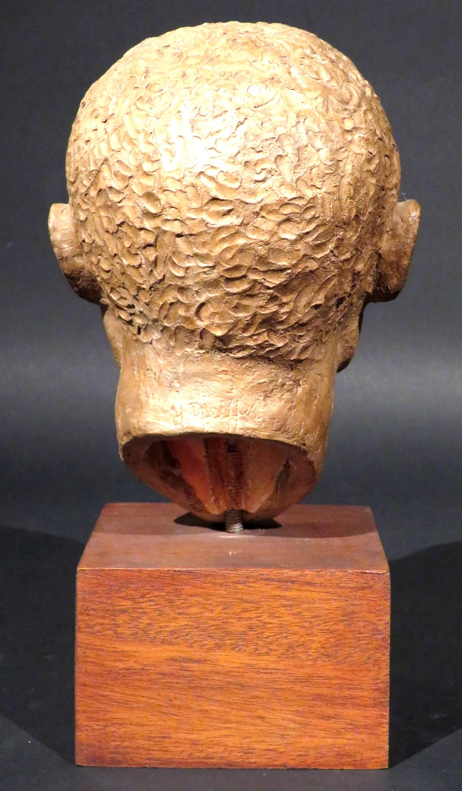 Hand-Crafted Fine Mid 20th Century Terracotta Bust of a Barbadian Man, by Harold S. Pfeiffer For Sale