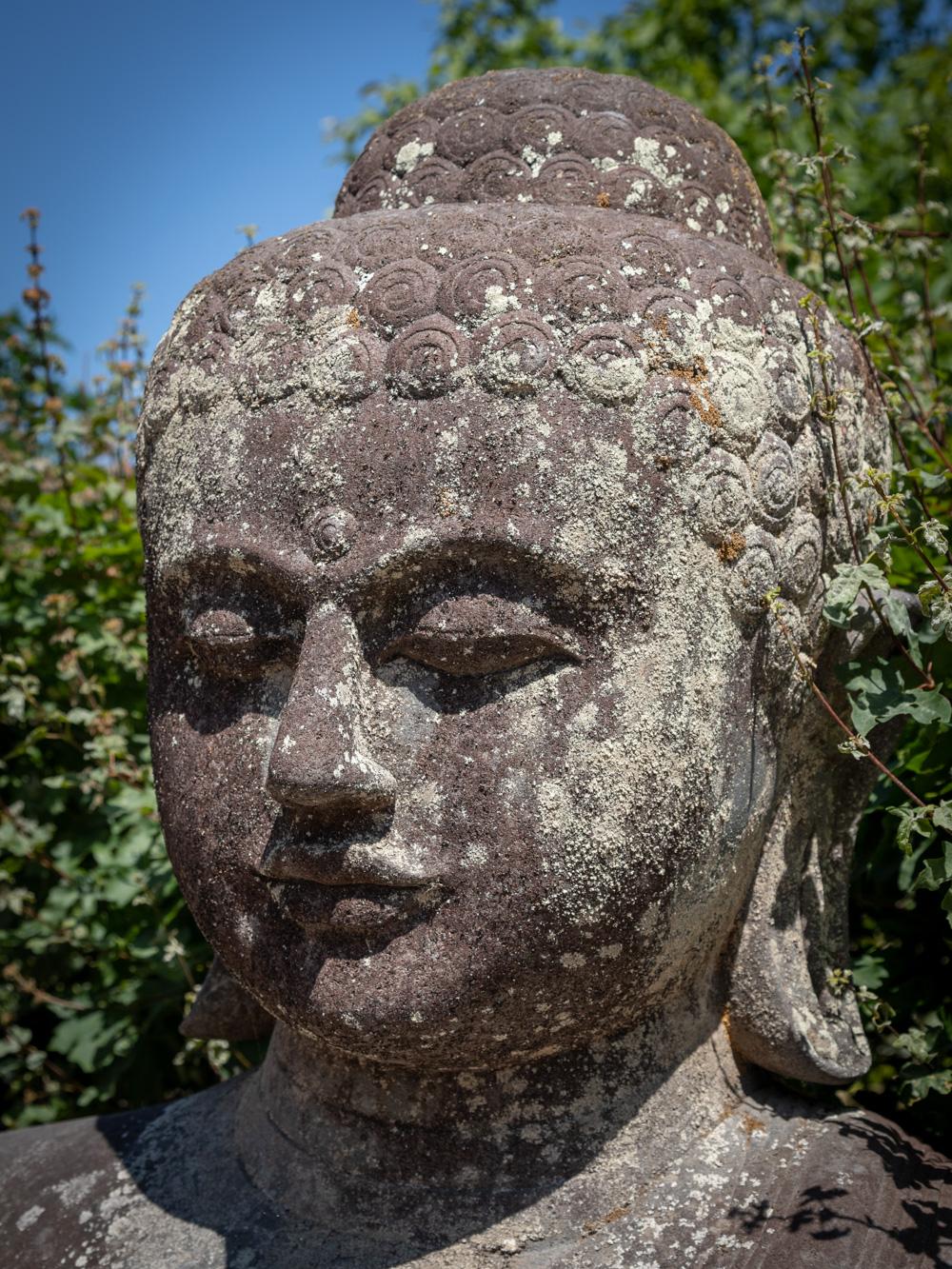 Mid 20th Century Very large and special lavastone Buddha statue  OriginalBuddha For Sale 5