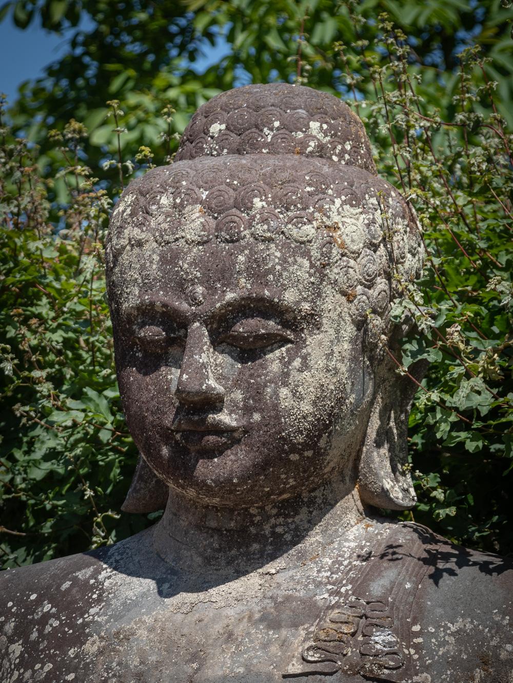 Mid 20th Century Very large and special lavastone Buddha statue  OriginalBuddha For Sale 6