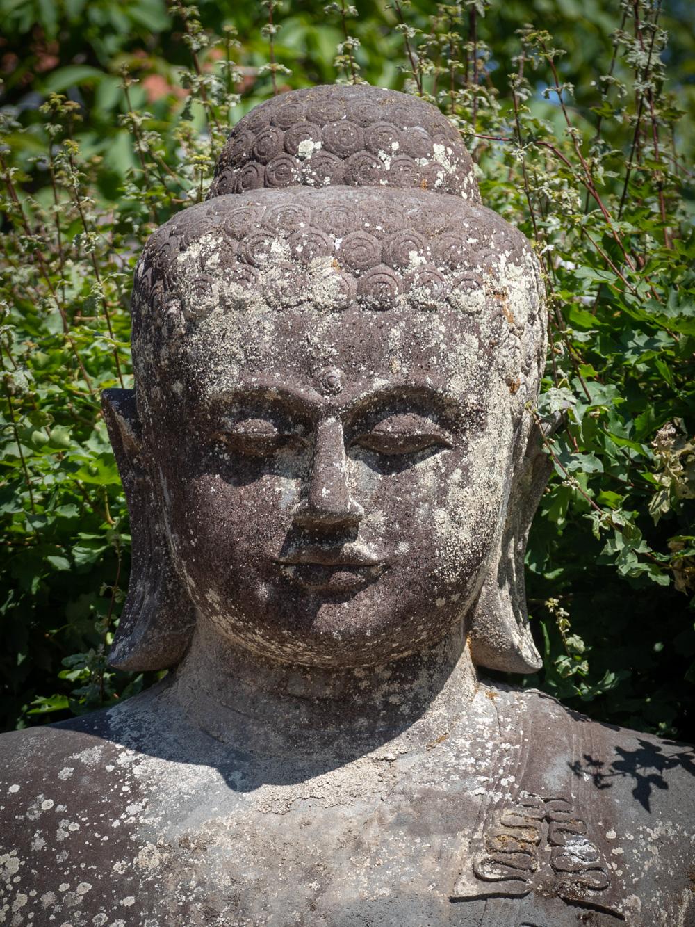Mid 20th Century Very large and special lavastone Buddha statue  OriginalBuddha For Sale 7