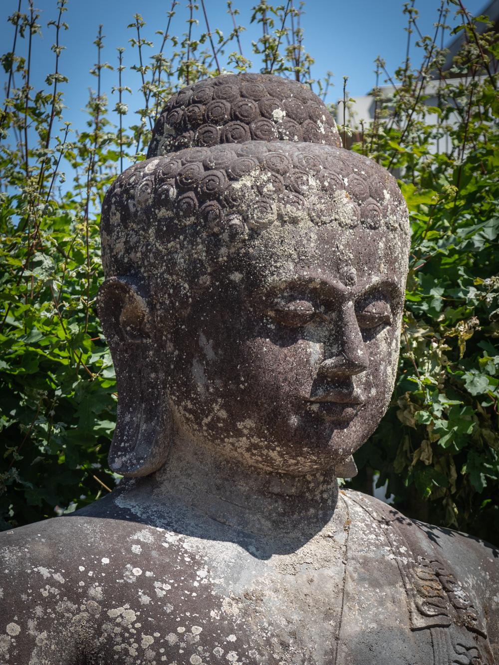 Mid 20th Century Very large and special lavastone Buddha statue  OriginalBuddha For Sale 8