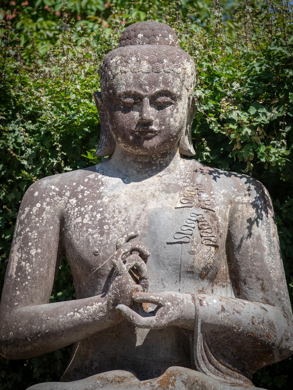 Mid 20th Century Very large and special lavastone Buddha statue  OriginalBuddha For Sale 10