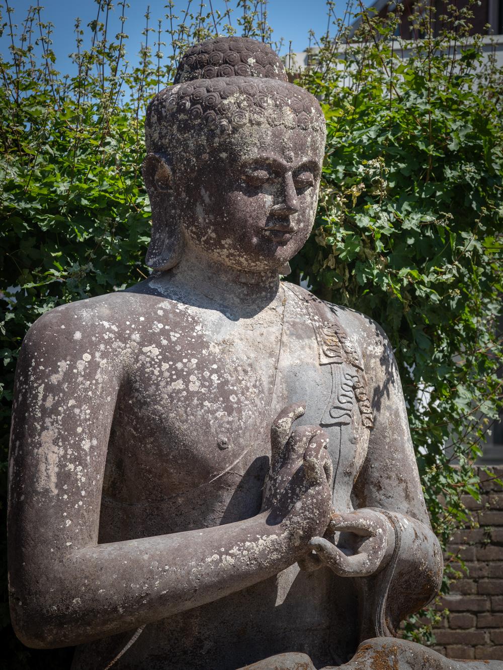 Mid 20th Century Very large and special lavastone Buddha statue  OriginalBuddha For Sale 11