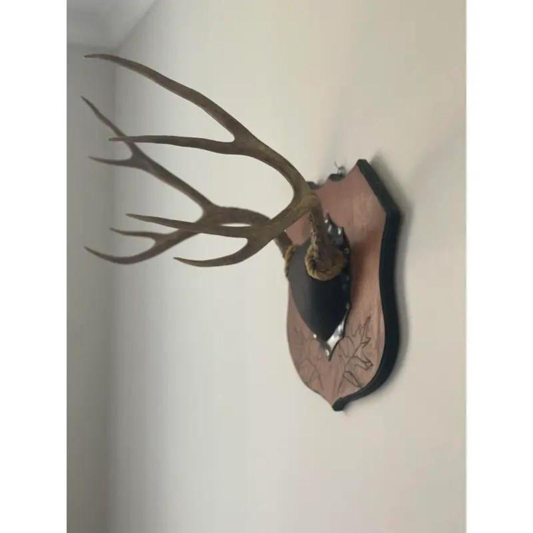 Vintage Antlers on Large Plaque 8 Point. Plaque has leaves burned in the wood.