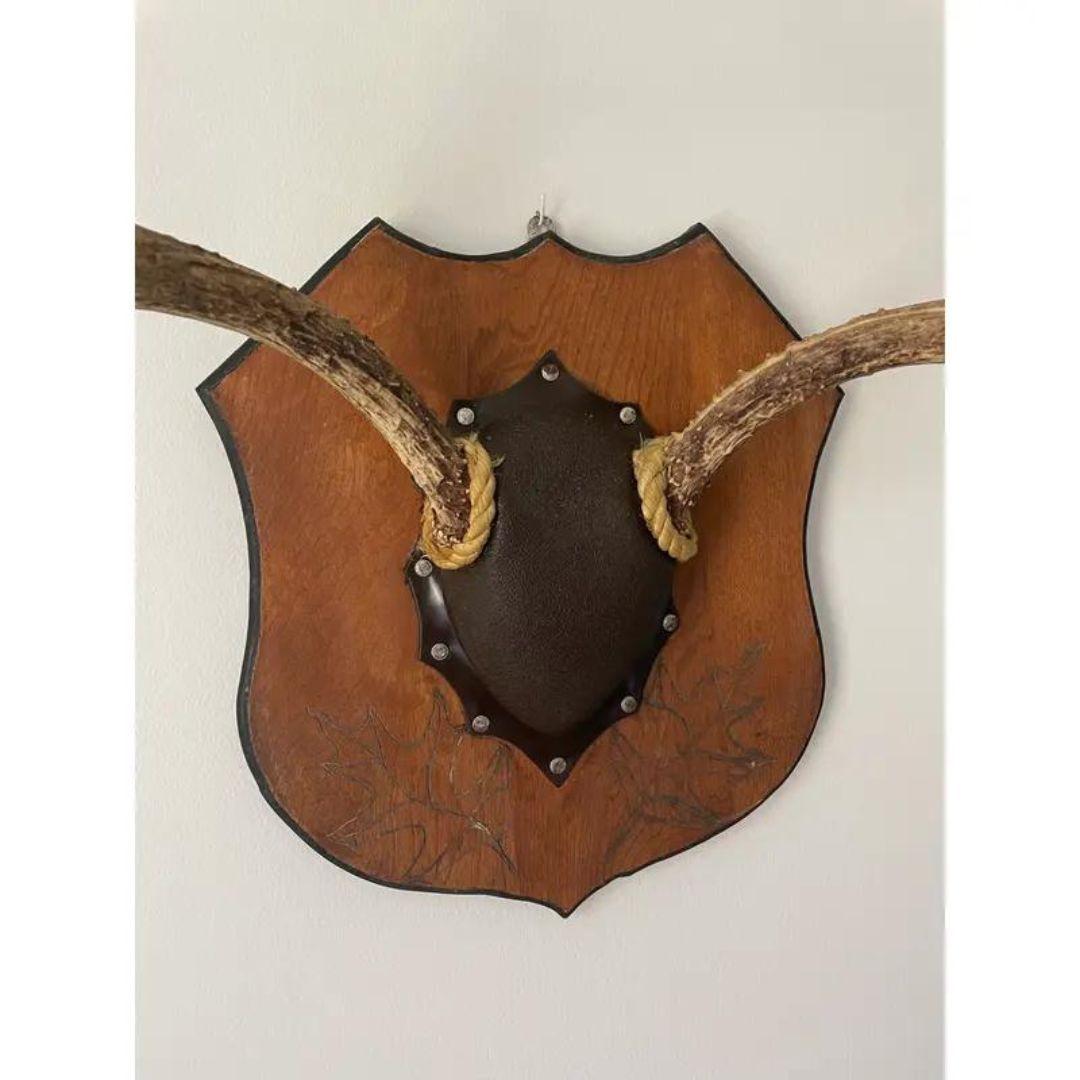 Rustic Mid 20th Century Vintage Antlers on Large Plaque 8 Point