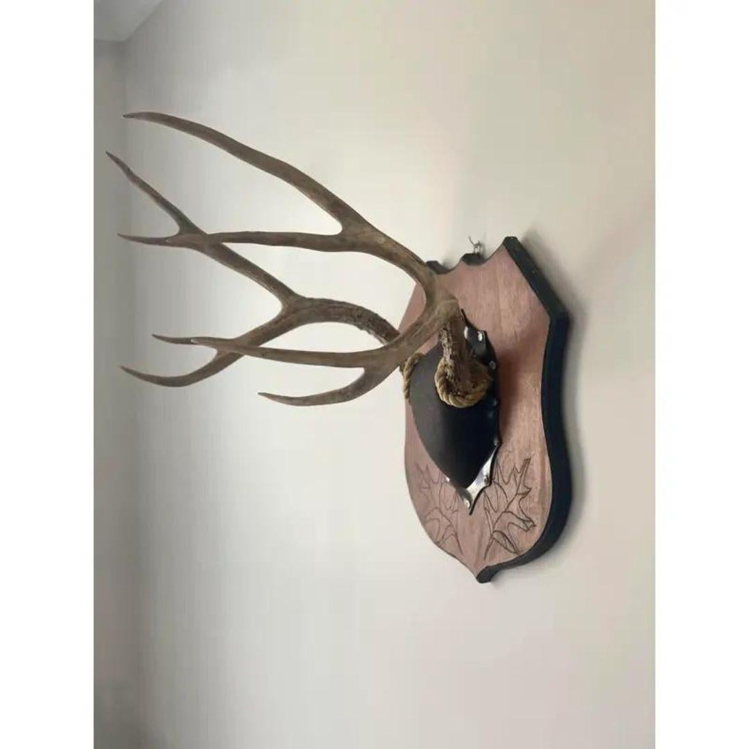 Mid 20th Century Vintage Antlers on Large Plaque 8 Point 4