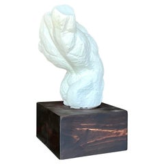 Mid 20th Century Vintage Boho Plaster Torso of Man