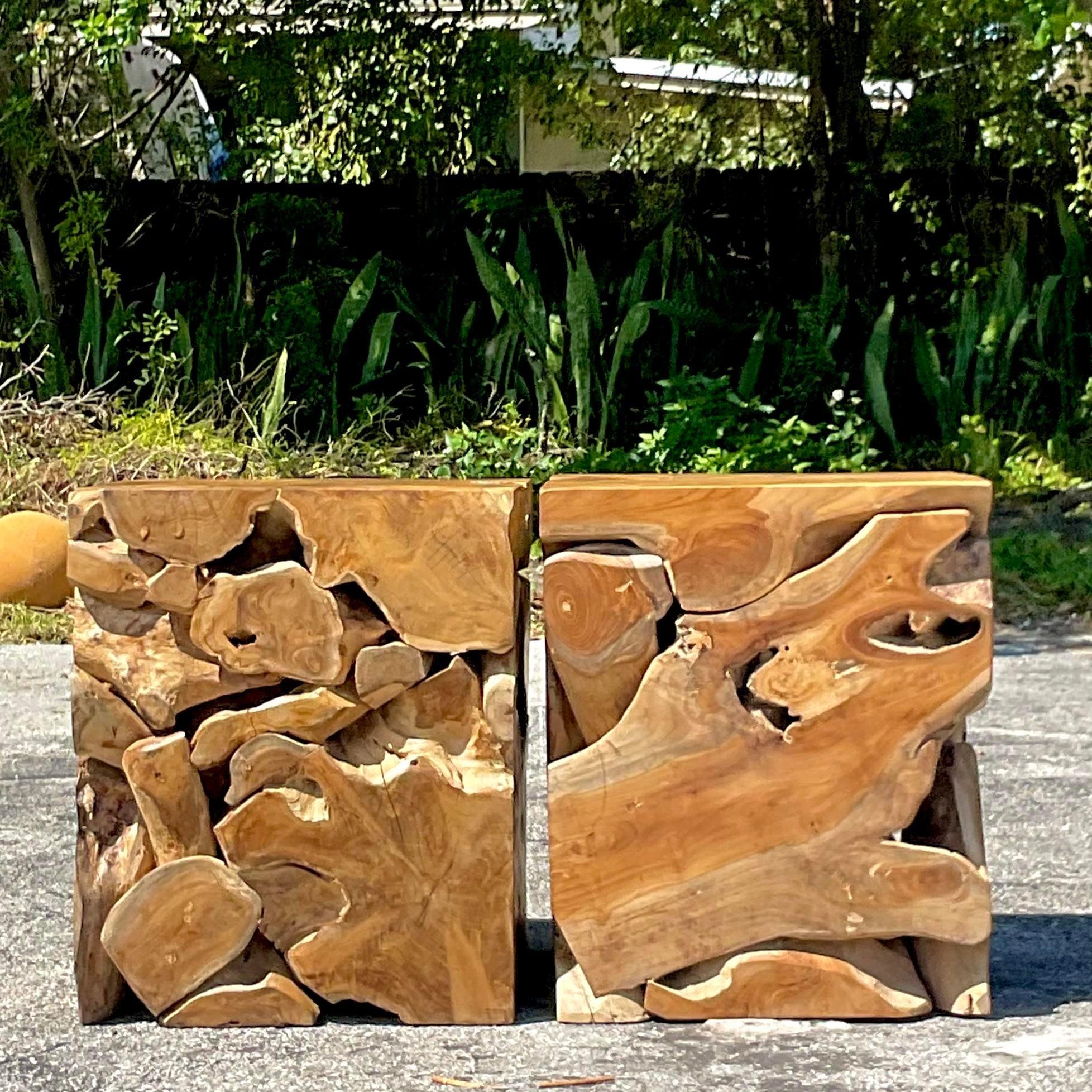 Philippine Mid 20th Century Vintage Boho Slab Root Side Tables - a Pair For Sale