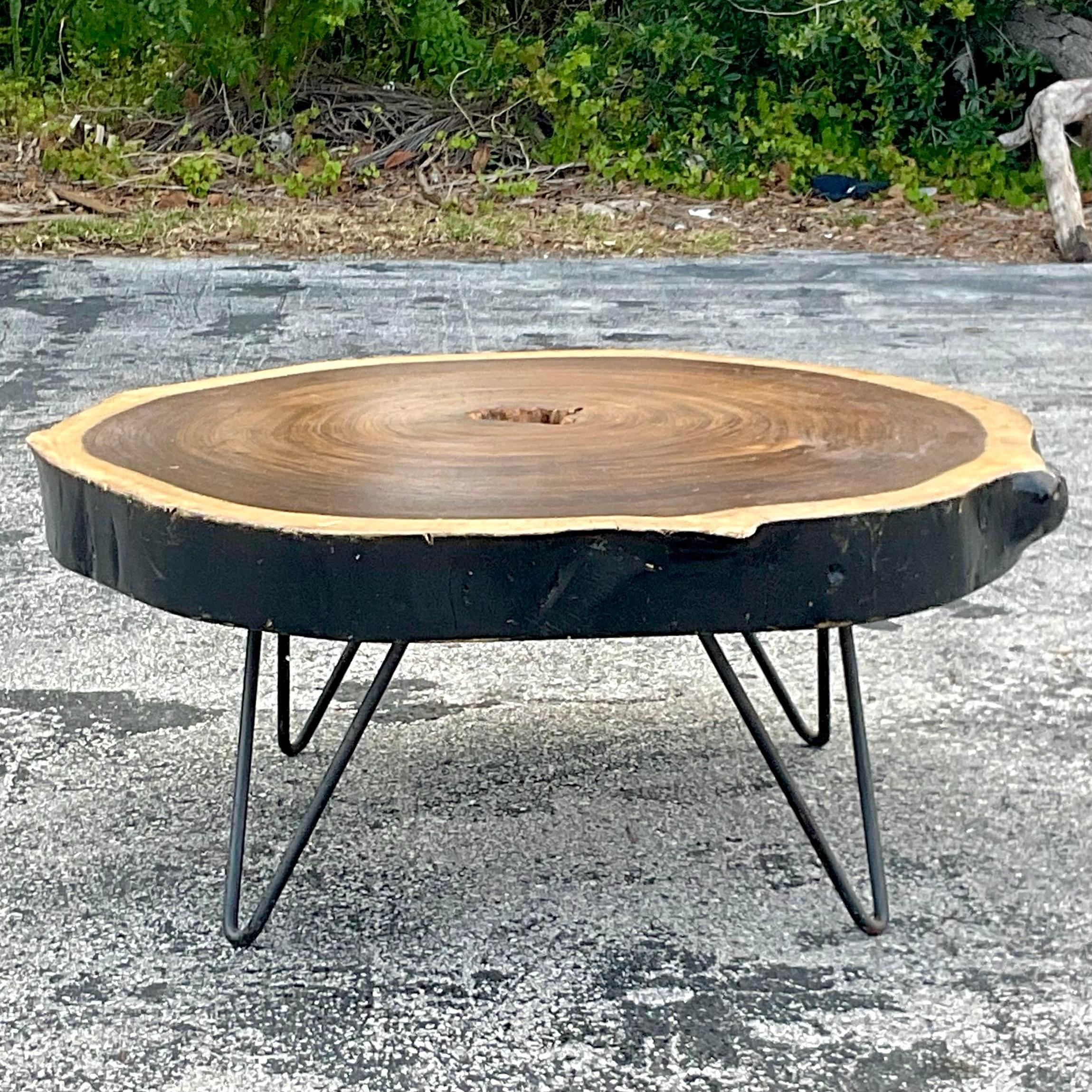 tree trunk coffee table