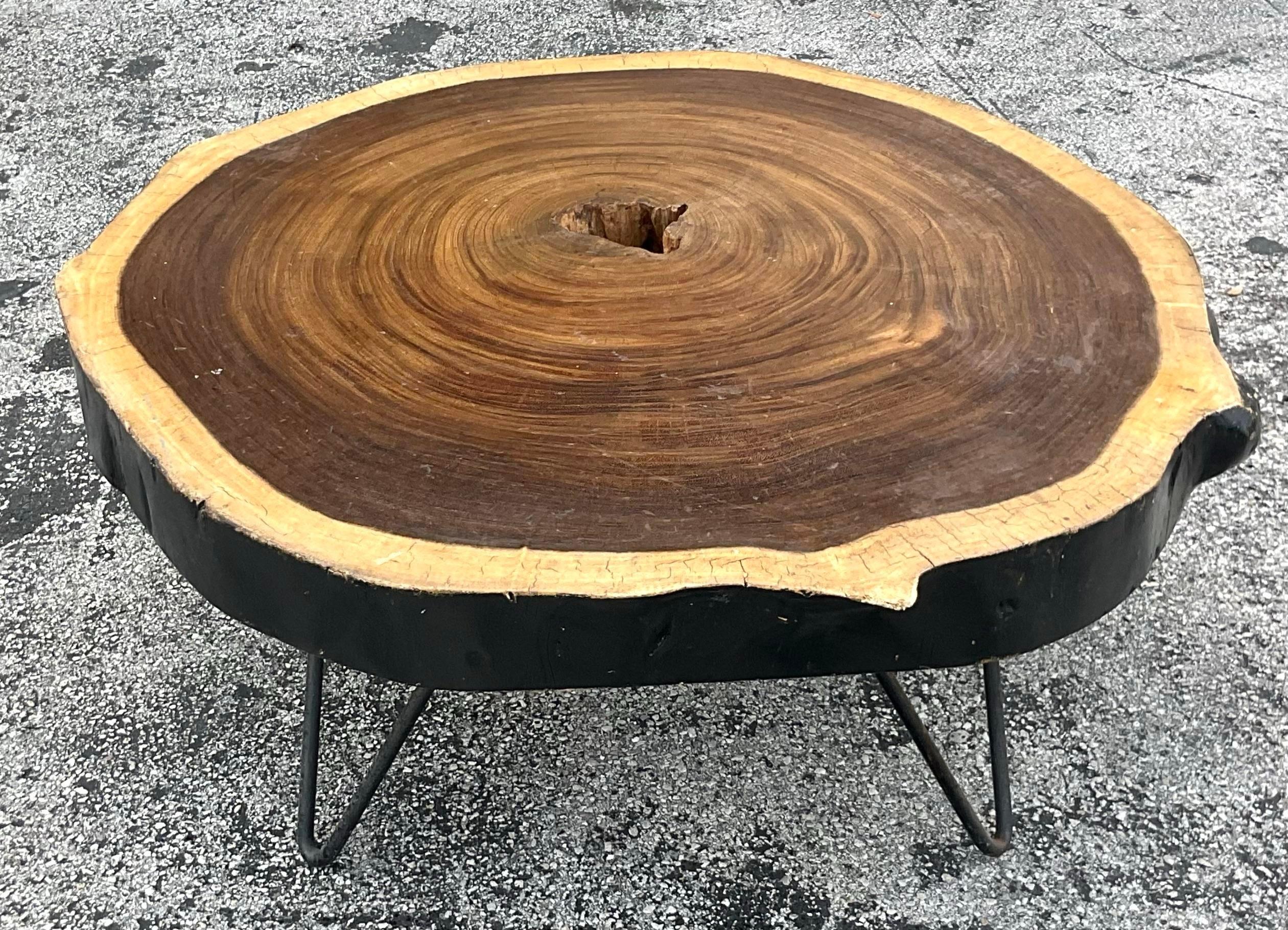 American Mid 20th Century Vintage Boho Tree Trunk Slice Coffee Table For Sale