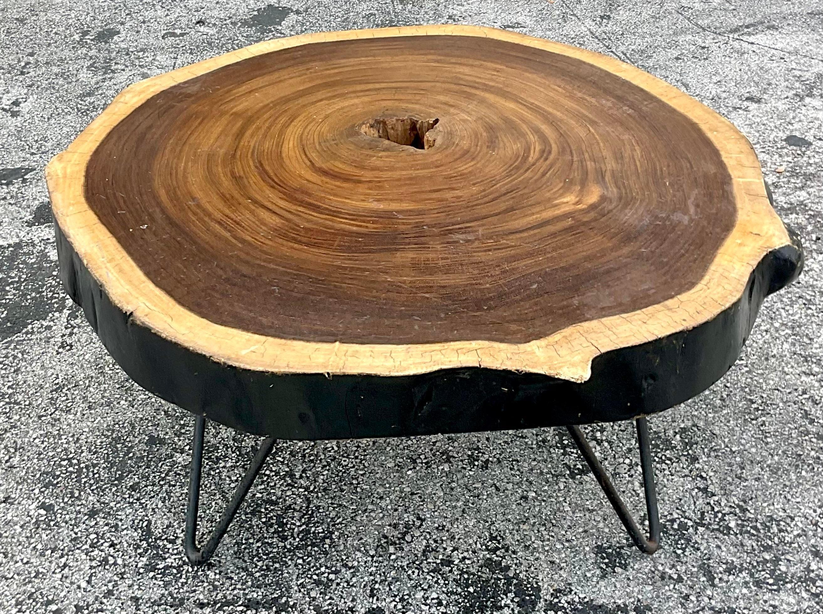 Metal Mid 20th Century Vintage Boho Tree Trunk Slice Coffee Table For Sale
