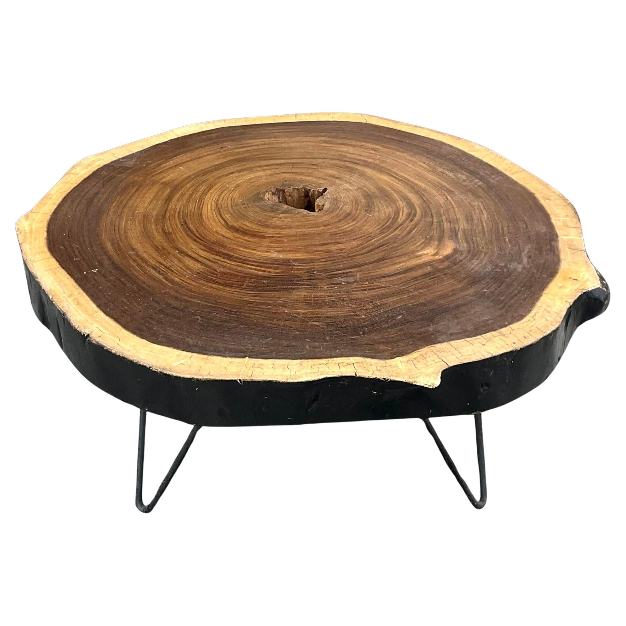 Mid 20th Century Vintage Boho Tree Trunk Slice Coffee Table For Sale