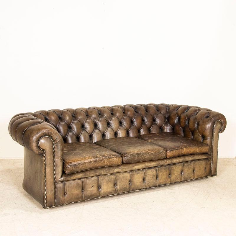 The brown vintage leather has a dark patina which creates the appeal in this handsome Chesterfield sofa. The impressive tufted back with large, rolled arms, naildhead trim and button accents add to the age-defying Chesterfield look which never goes