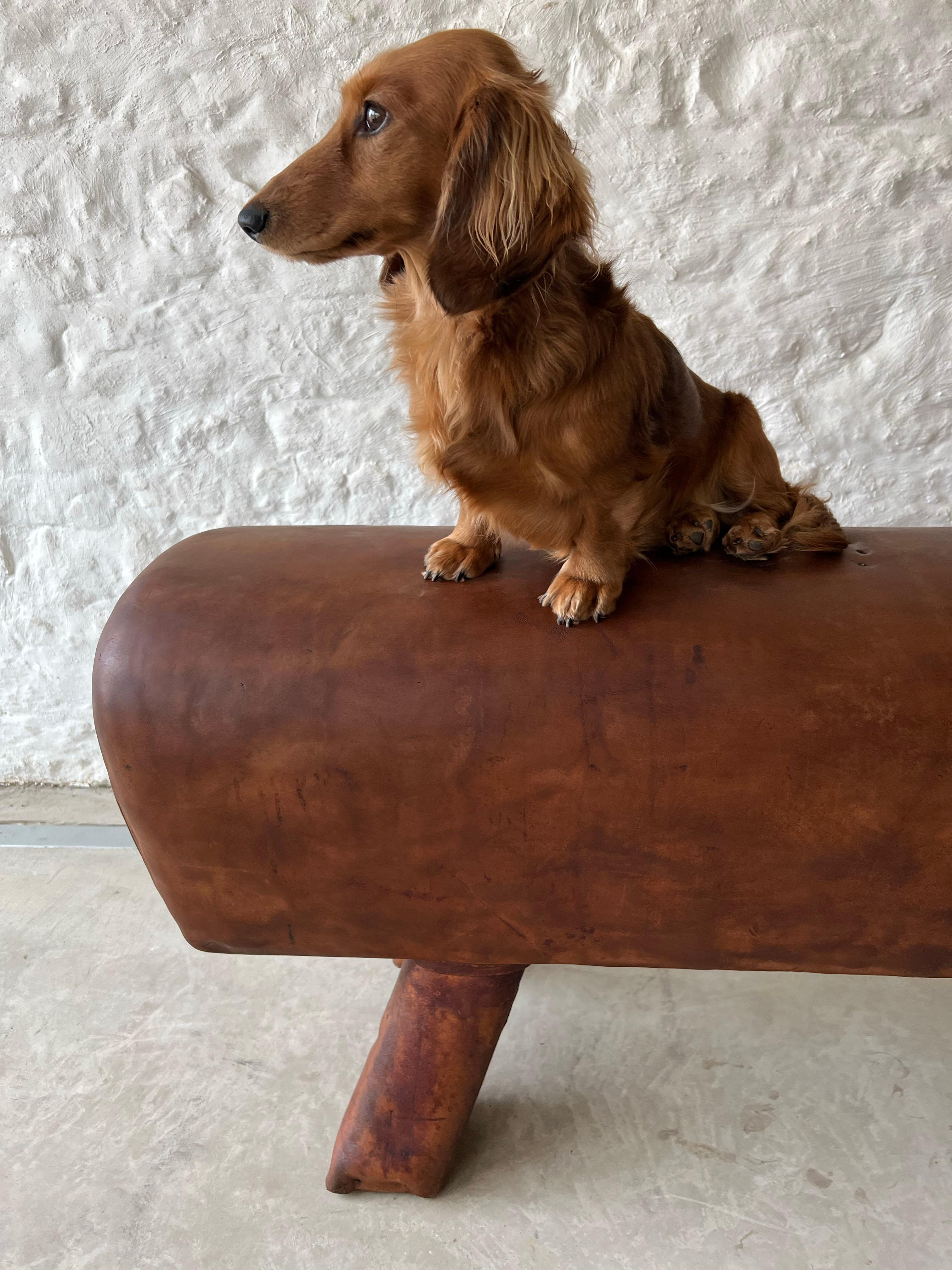 Mid 20th Century Vintage Leather Pommel Horse Bench 3