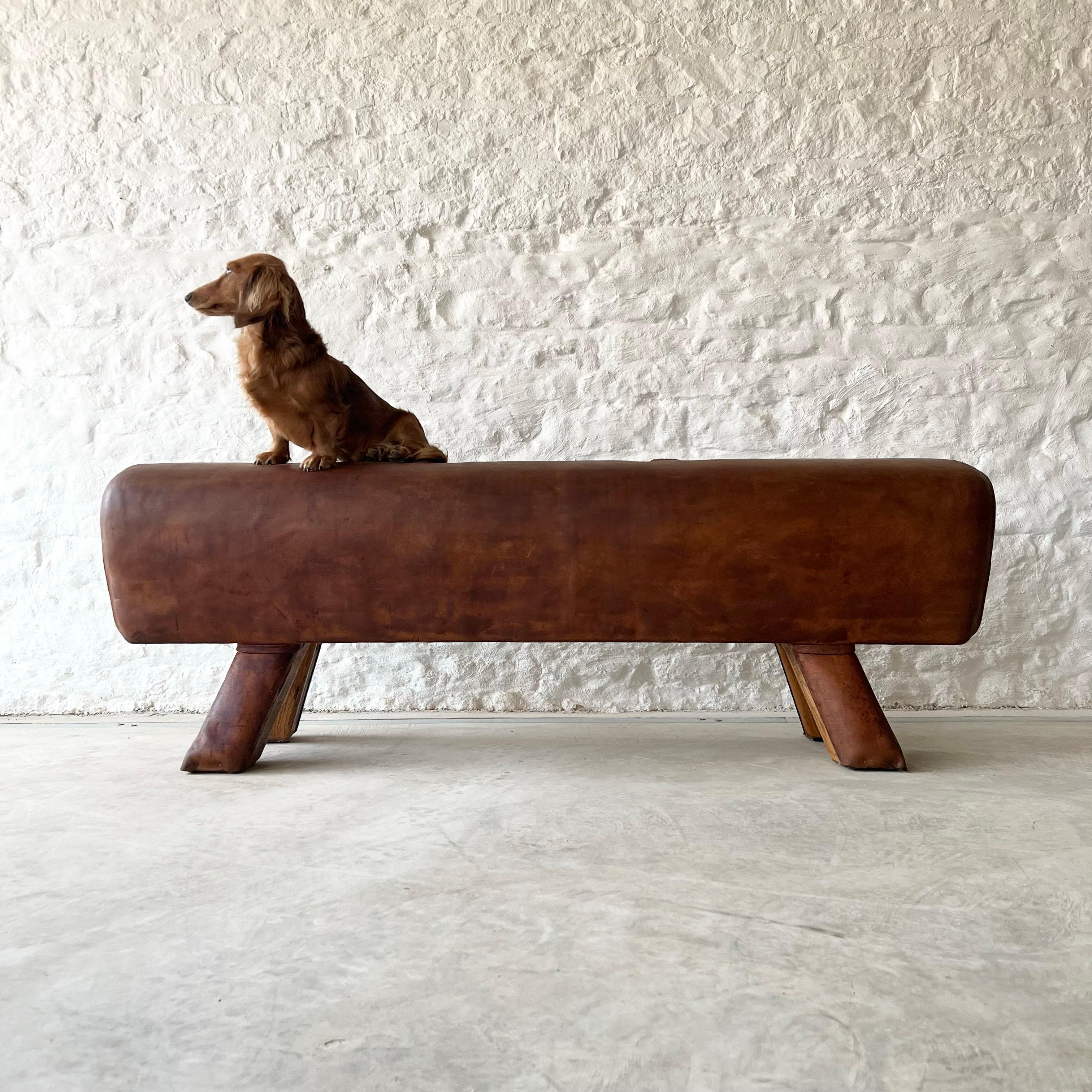 Mid 20th Century Vintage Leather Pommel Horse Bench 4