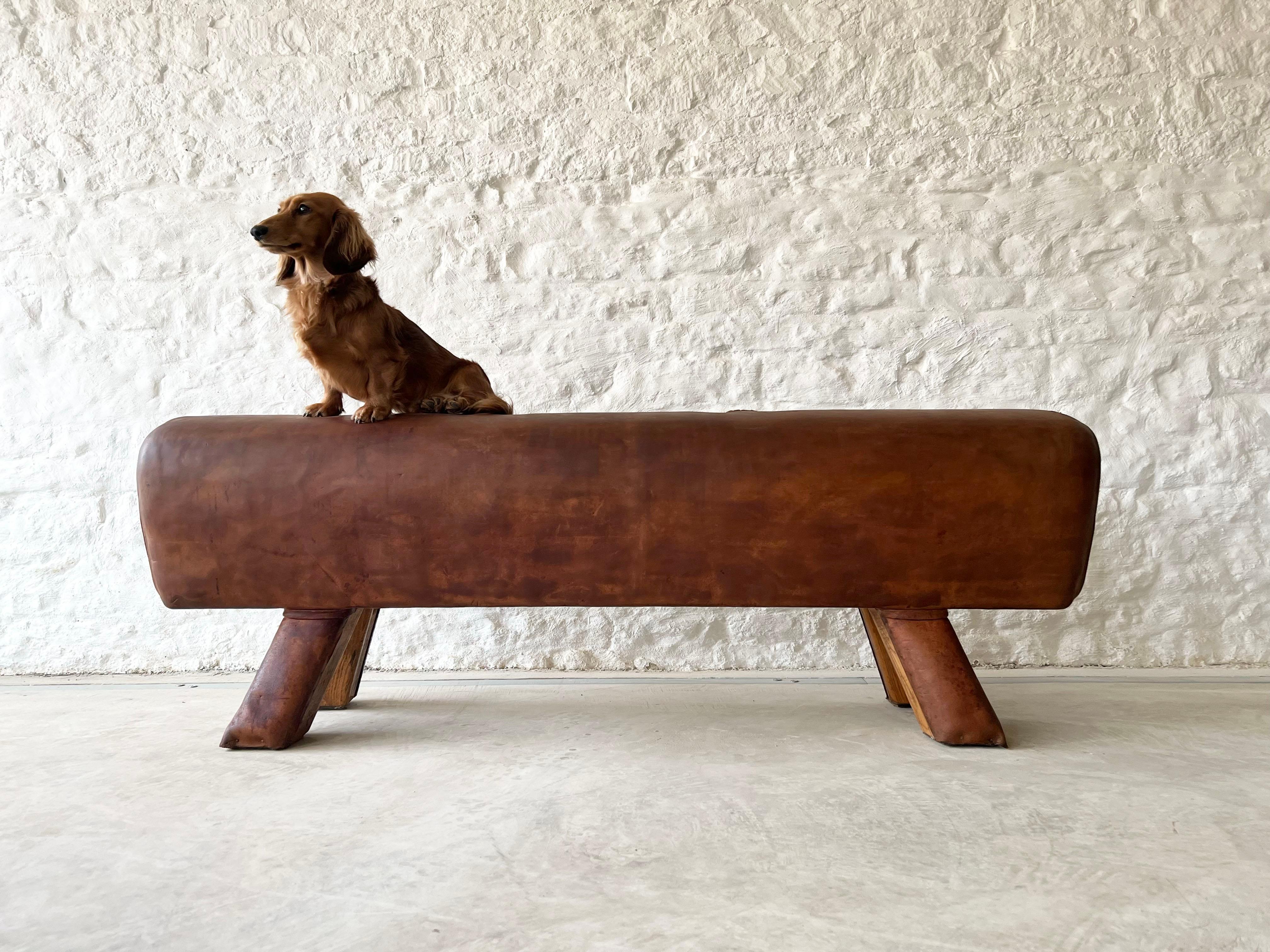 Mid 20th Century Vintage Leather Pommel Horse Bench 5