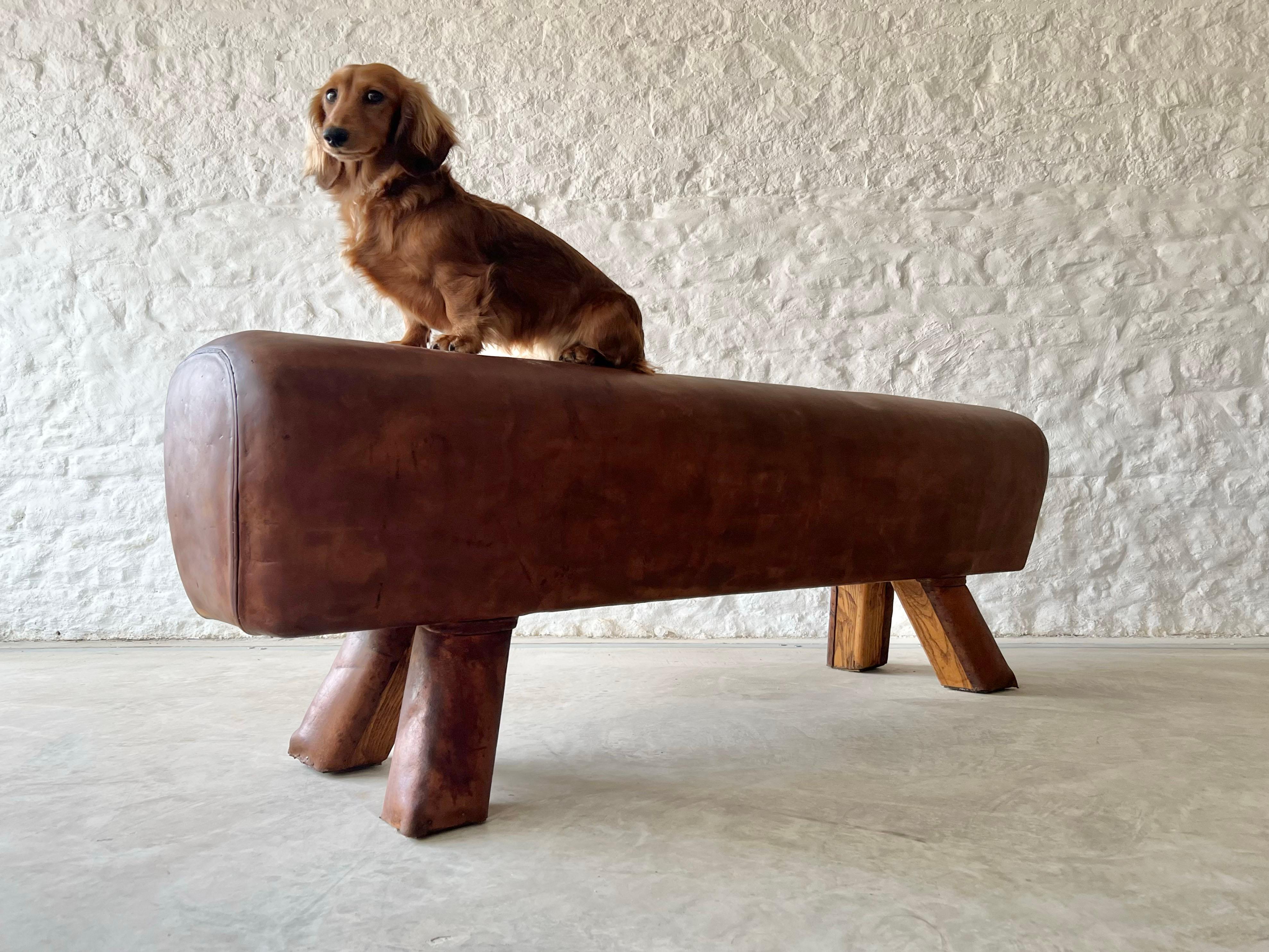 This mid 20th Century pommel horse was sourced in the Czech Republic.  Originally this would have had very long legs which we have cut down to make this fun bench or you could even use it like an ottoman or foot stool.

A lovely colour ( like a