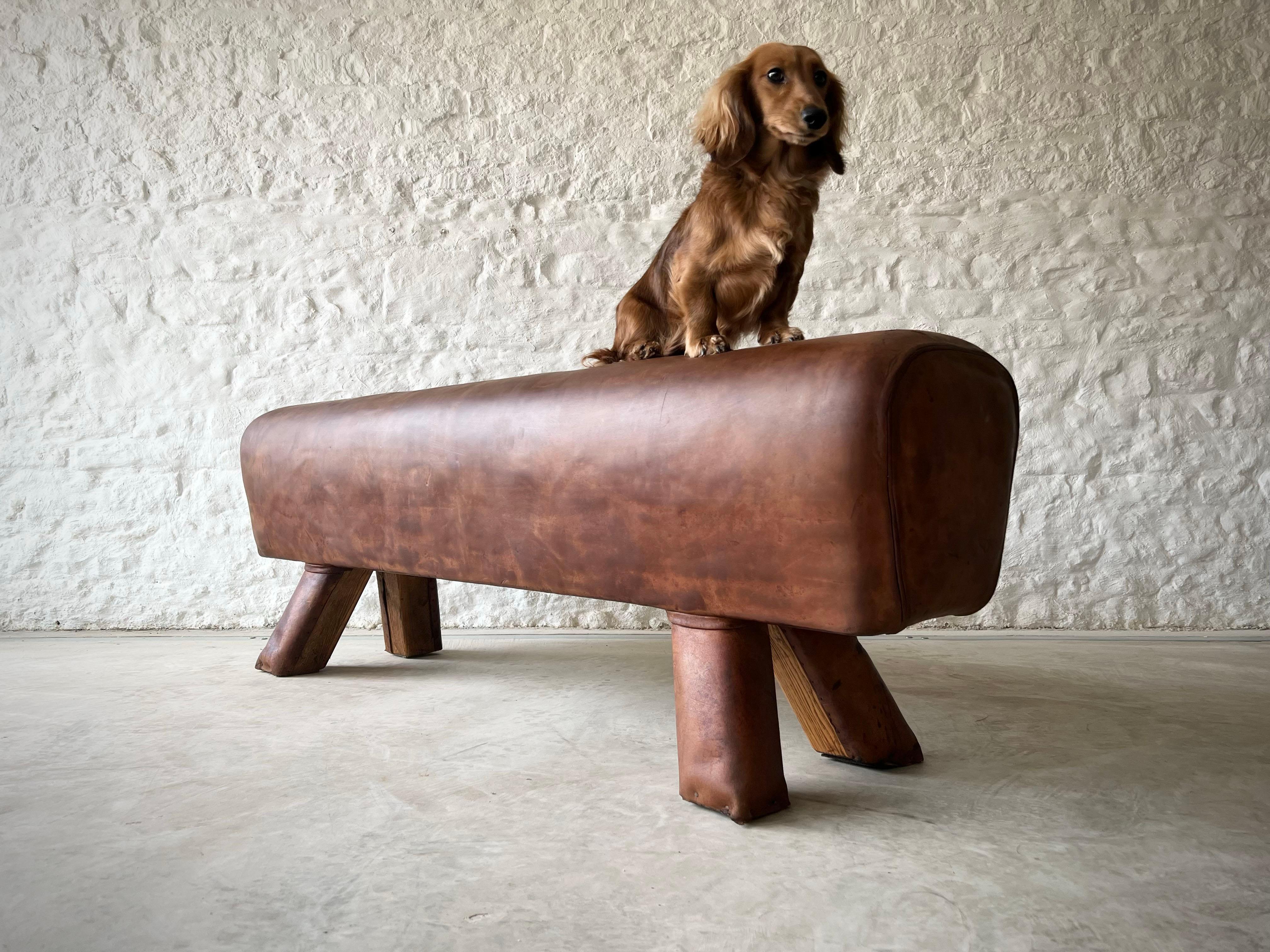 Mid 20th Century Vintage Leather Pommel Horse Bench In Good Condition In Cirencester, GB