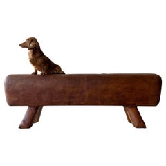 Mid 20th Century Vintage Leather Pommel Horse Bench