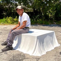 Mid 20th Century Vintage Regency Molded Fiberglass “Tovaglia” Coffee Table