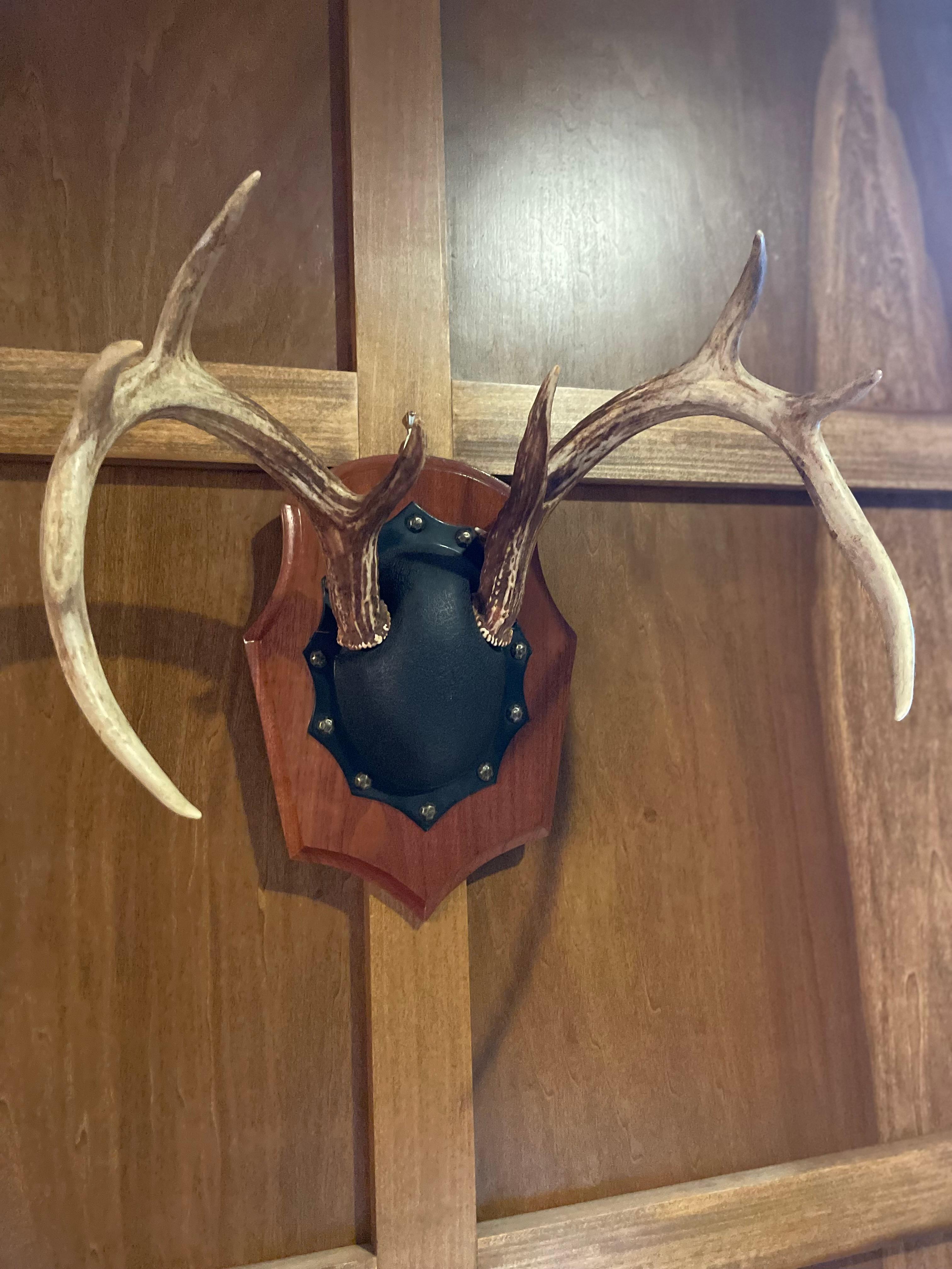 how to mount antlers