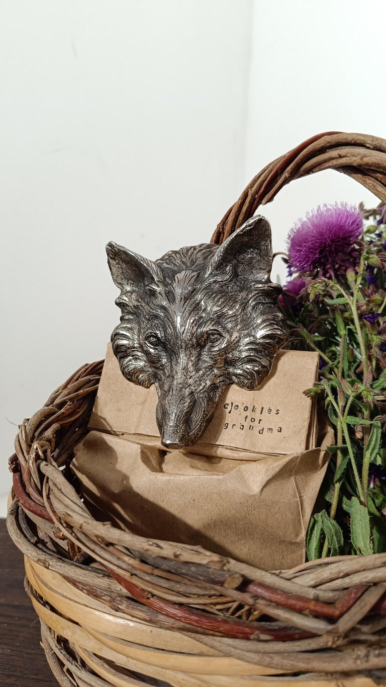 Donna gravemente ferita in un attacco di lupo in un parco safari vicino a  Parigi | Euronews, image size:768x1365