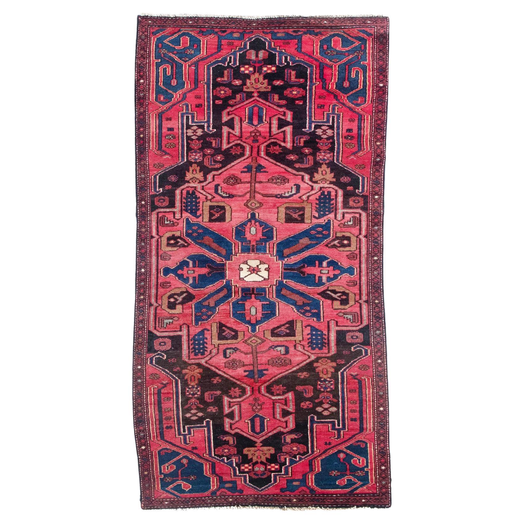 Mid-20th Century Zanjan Persian Rug For Sale