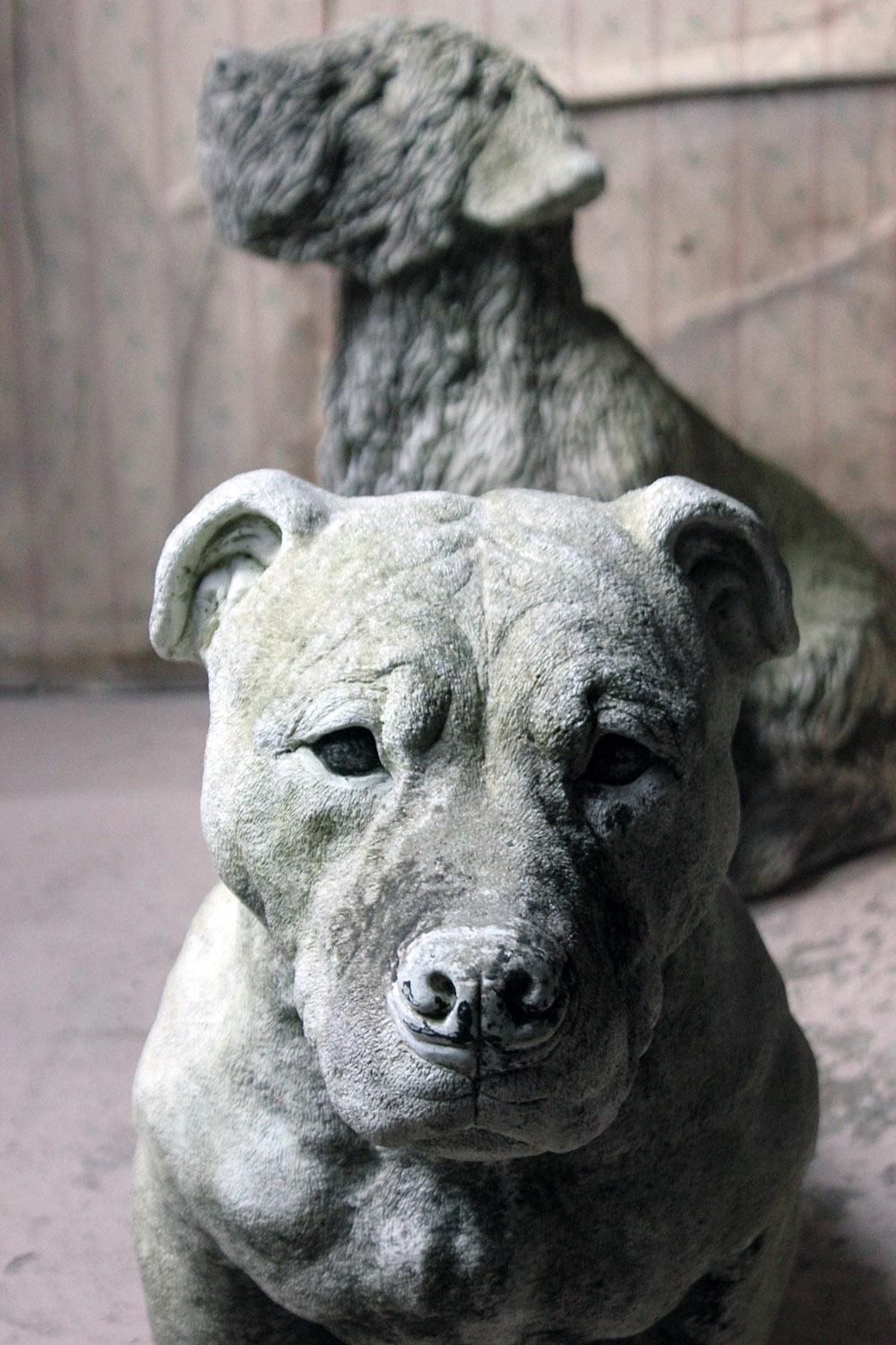 The very well modelled and large life size cast stone Staffordshire Bull Mastiff, in sitting position, having a closed mouth, black painted eyes and muzzle and seated alert, the whole of hyper-real form with good skin detailing and being inscribed