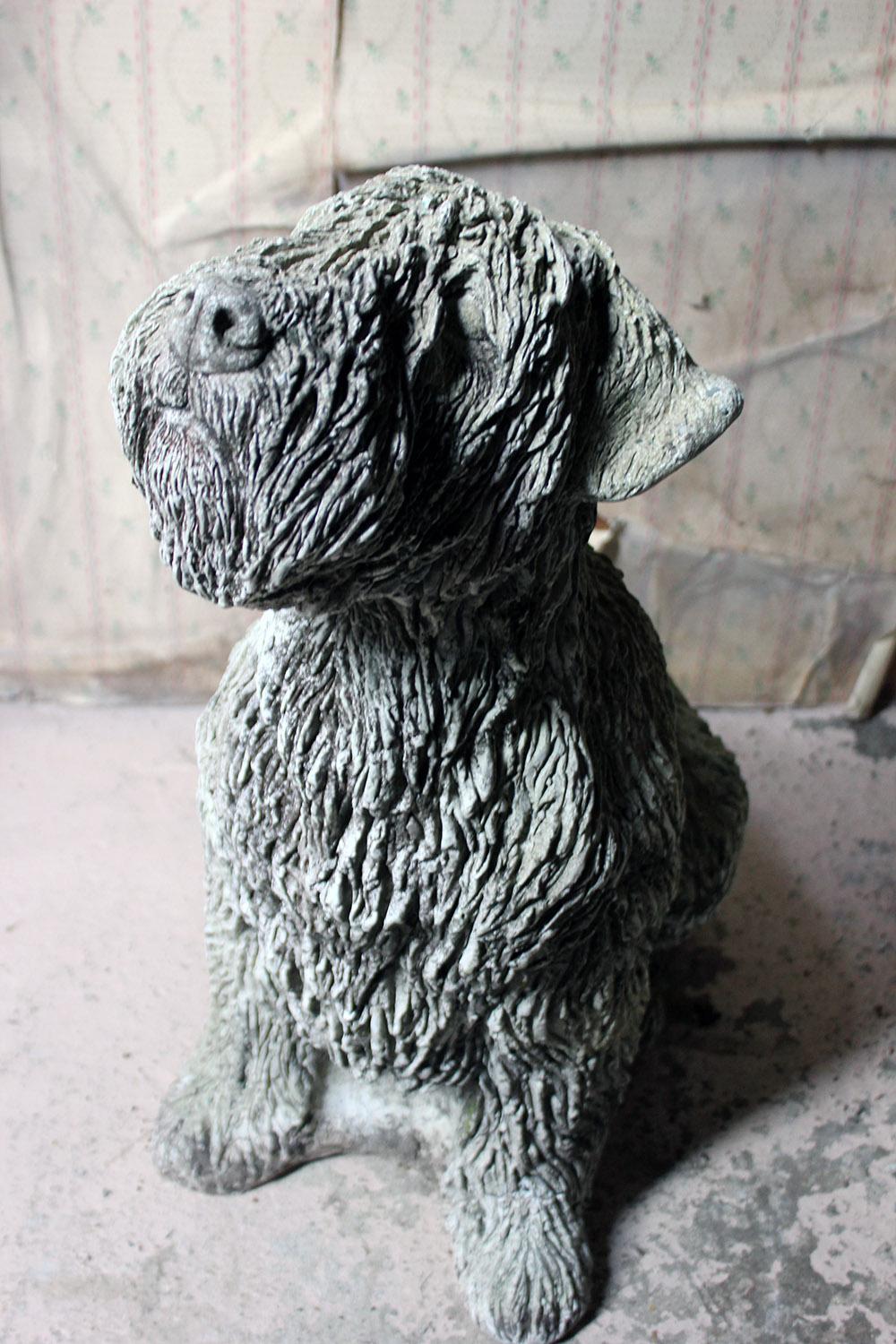 grey wheaten terrier