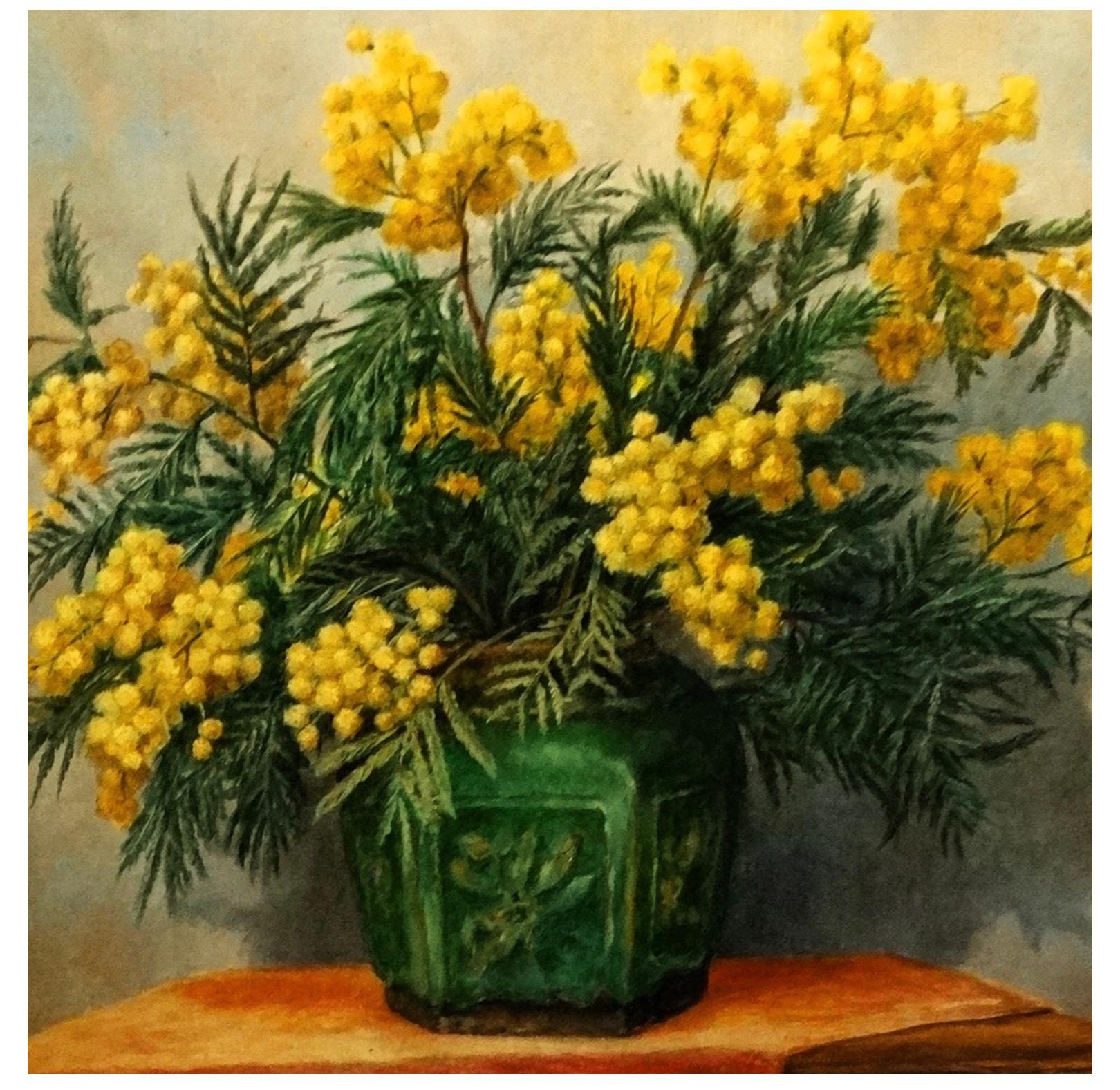 Mid C20th oil painting on canvas of a large display leafy full bloom Mimosa in a glazed green ceramic vase which is set on a velvet table cloth.
Framed in the style of the period.