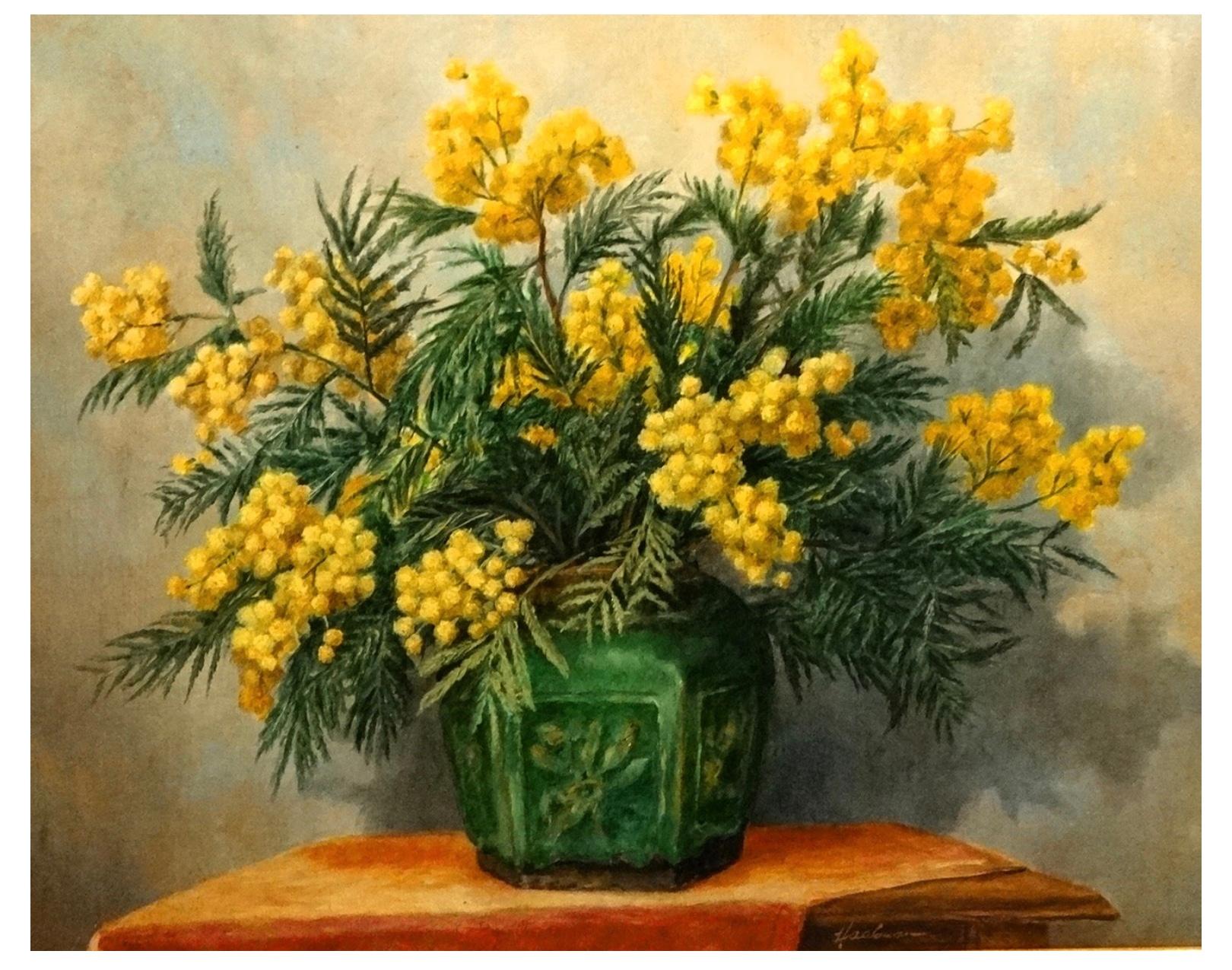 Dutch Mid c20th century oil painting on canvas of Mimosa in a pottery vase For Sale