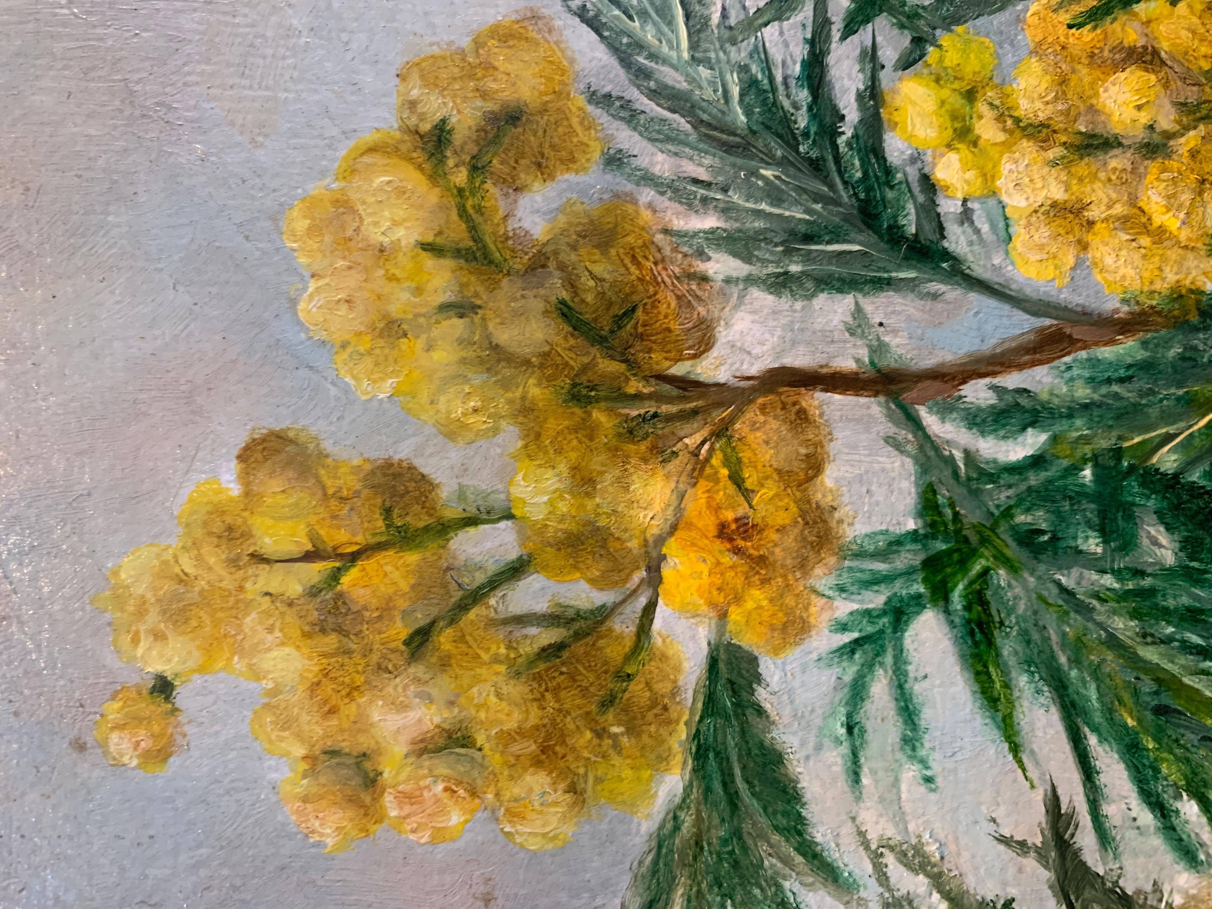 20th Century Mid c20th century oil painting on canvas of Mimosa in a pottery vase For Sale