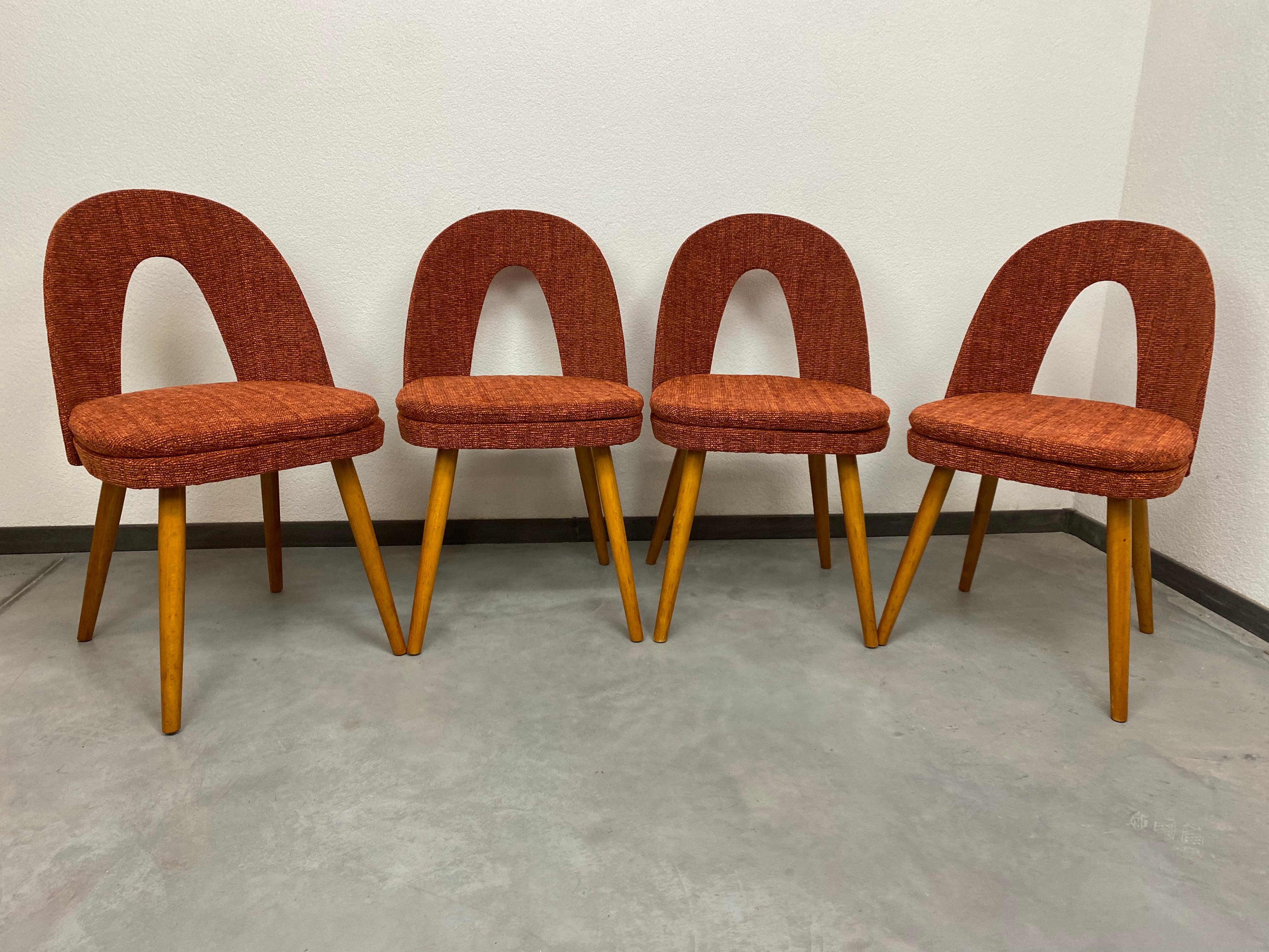 Chaises à manger de style Mid-Centruy par Antonín Šuman pour Mier Topoľčany en vente 2
