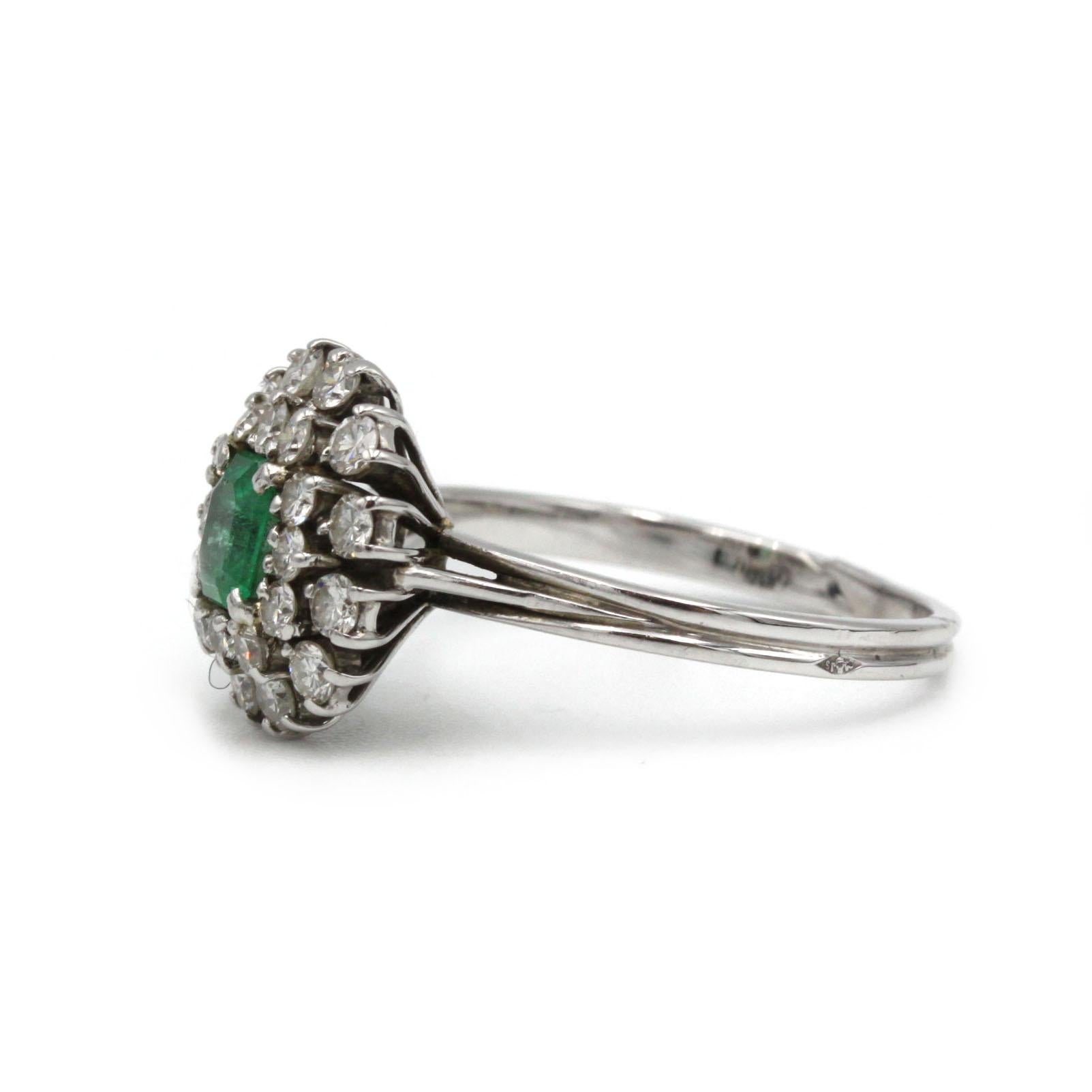 Evoke the allure of vintage French craftsmanship with this exquisite mid-century “daisy” cluster ring in lustrous 18K white gold. At its heart lies a vibrant square-cut emerald of approximately 0.50 carat, framed by a double halo of 24 brilliant-cut