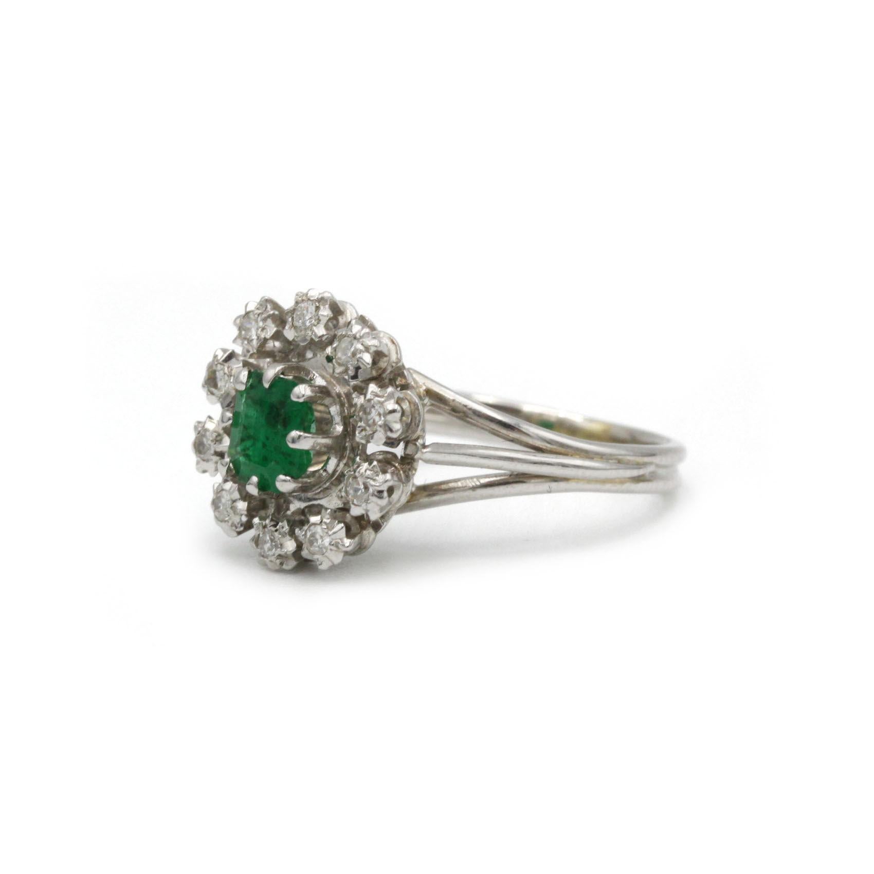 Discover this exquisite mid-century cocktail ring, crafted circa 1950–1960 in 18K (750‰) white gold. At its heart sits a vivid round emerald of approximately 0.50 carat, beautifully showcased in a classic daisy halo setting. Surrounding the emerald