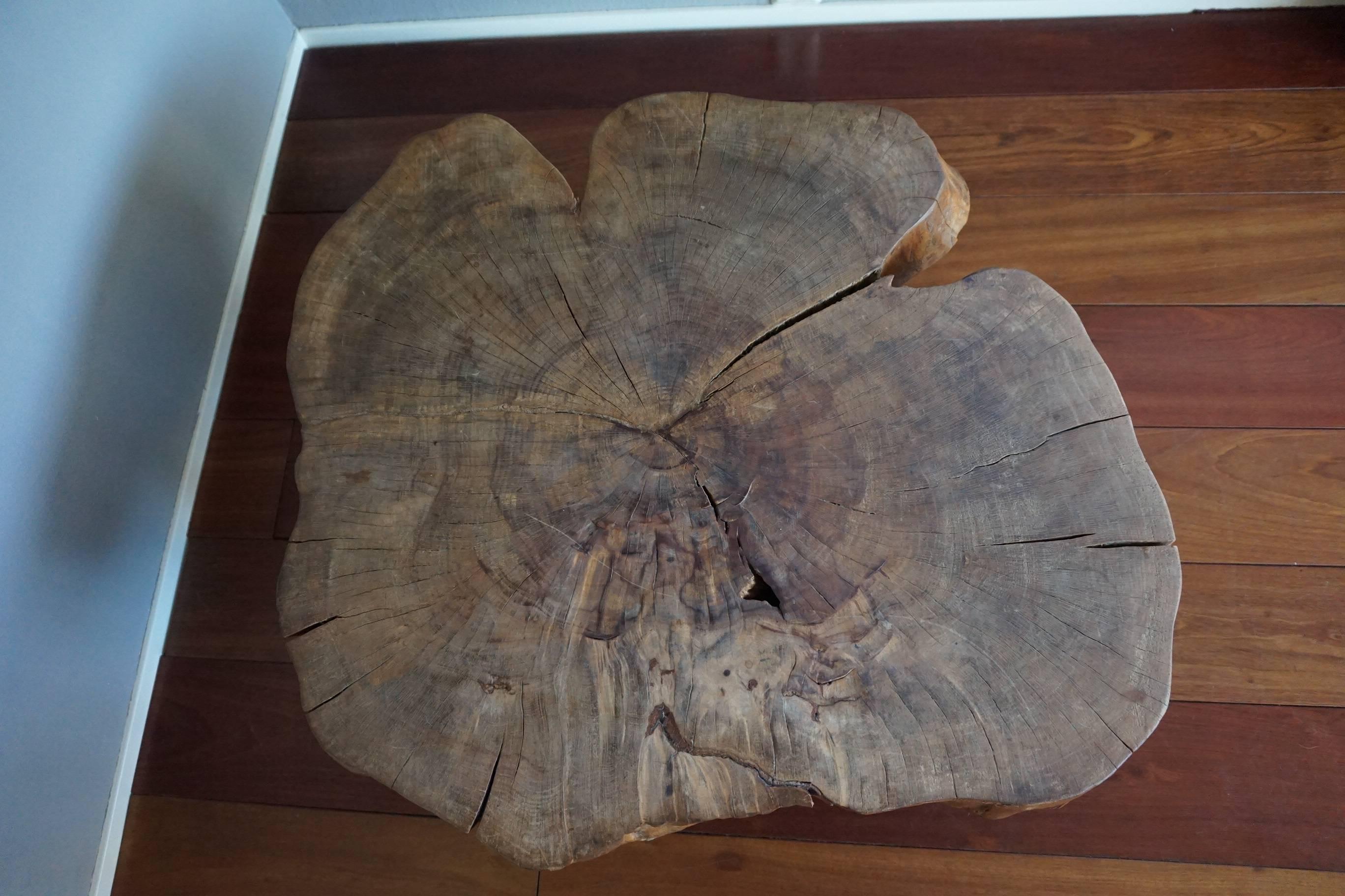 Midcentury, 1960-1970 Organically Stylish Walnut Wooden Tree Trunk Coffee Table 2