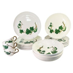 Mid Century 20 Piece Dinnerware Set of California Ivy Poppy Trail by Metlox
