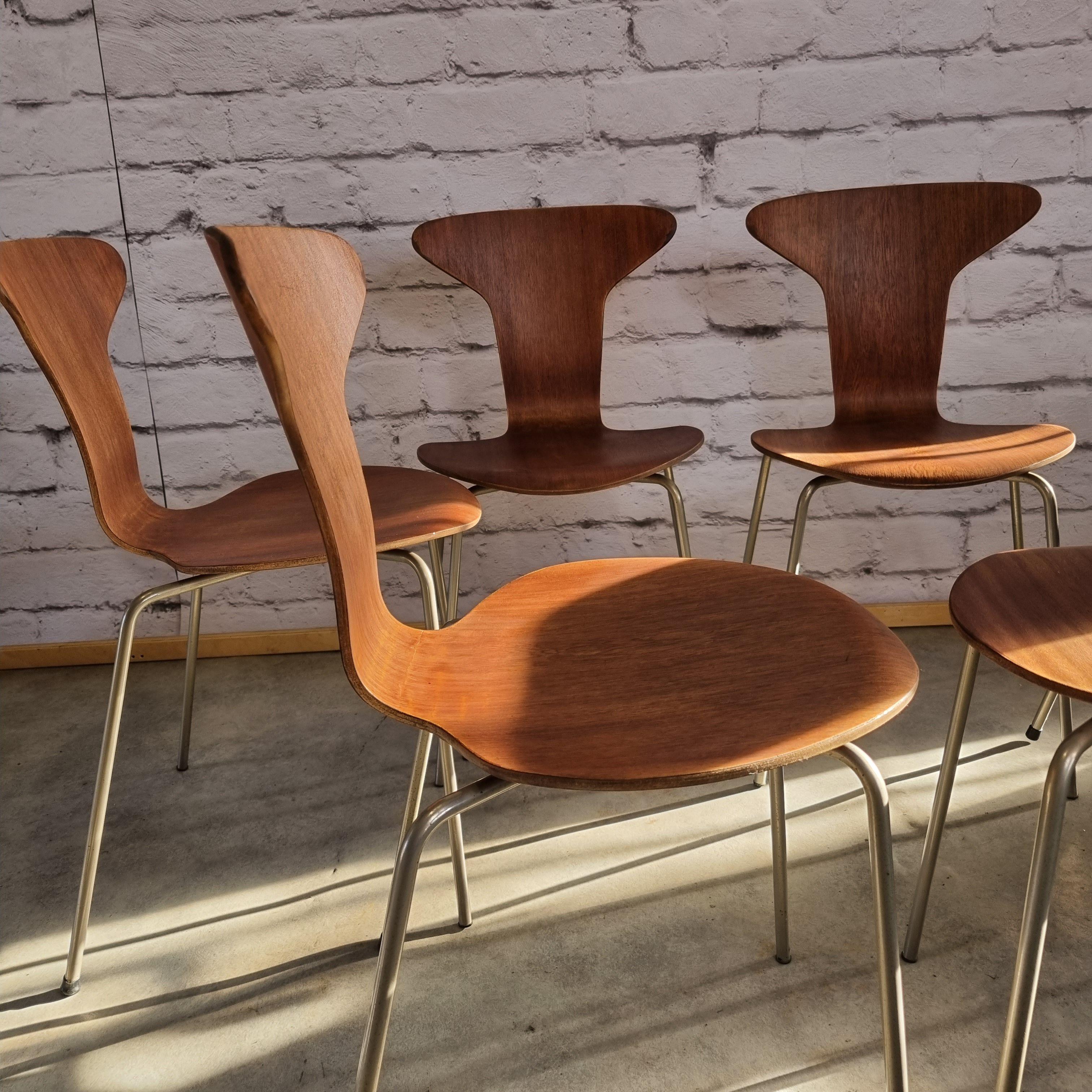 Mid Century 3105 Mosquito Chairs by Arne Jacobsen for Fritz Hansen Set of 6 3