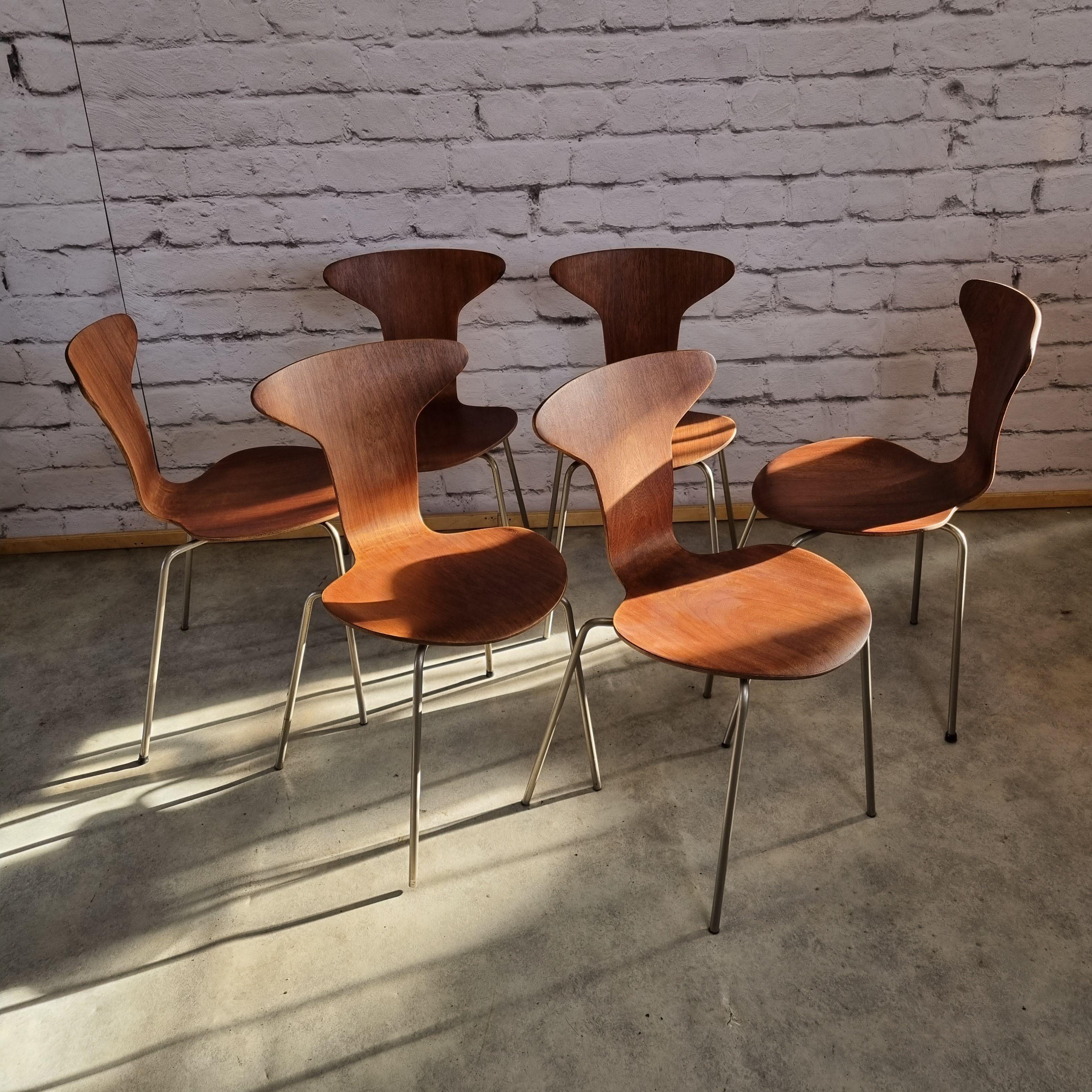 Mid Century 3105 Mosquito Chairs by Arne Jacobsen for Fritz Hansen Set of 6 7