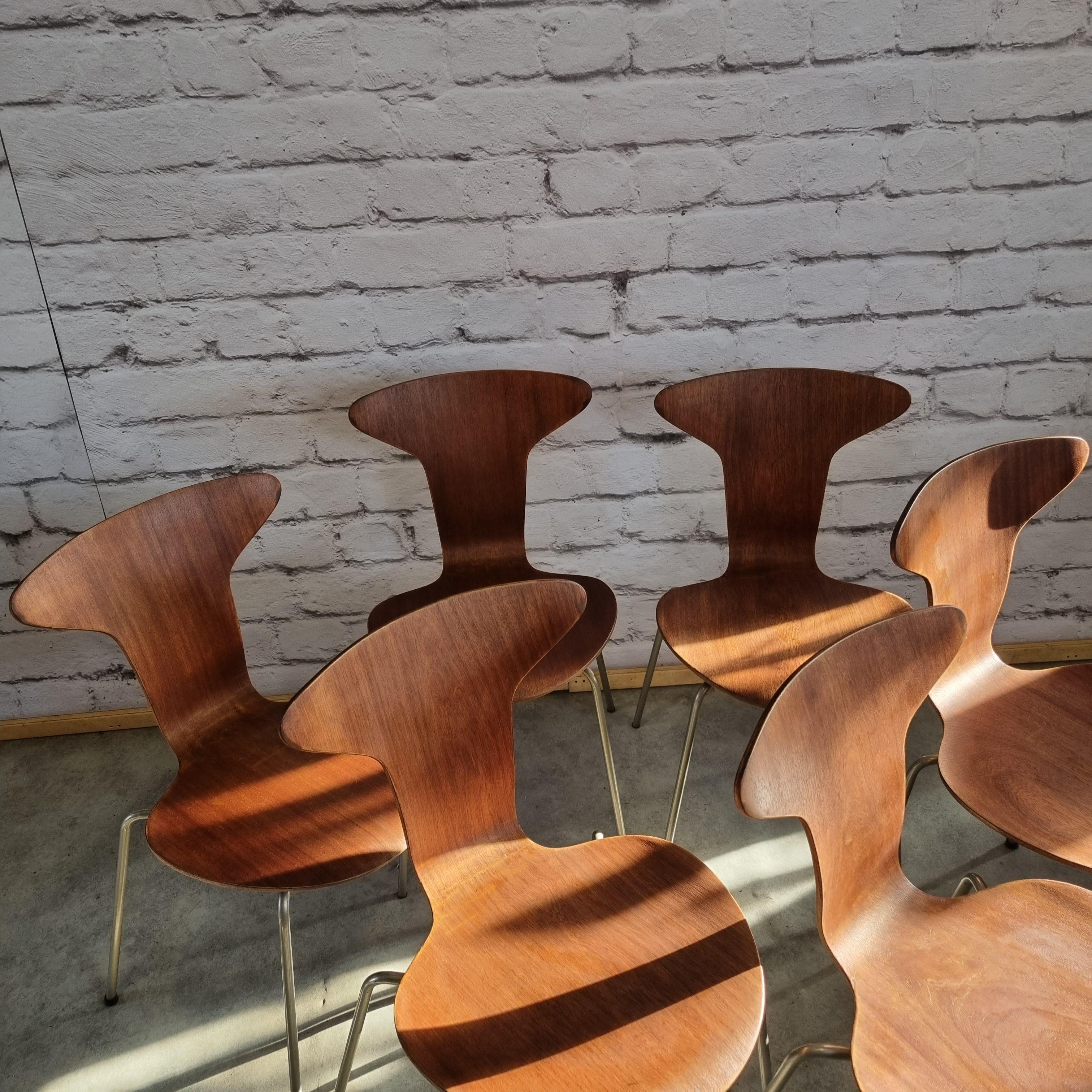 Mid Century 3105 Mosquito Chairs by Arne Jacobsen for Fritz Hansen Set of 6 10