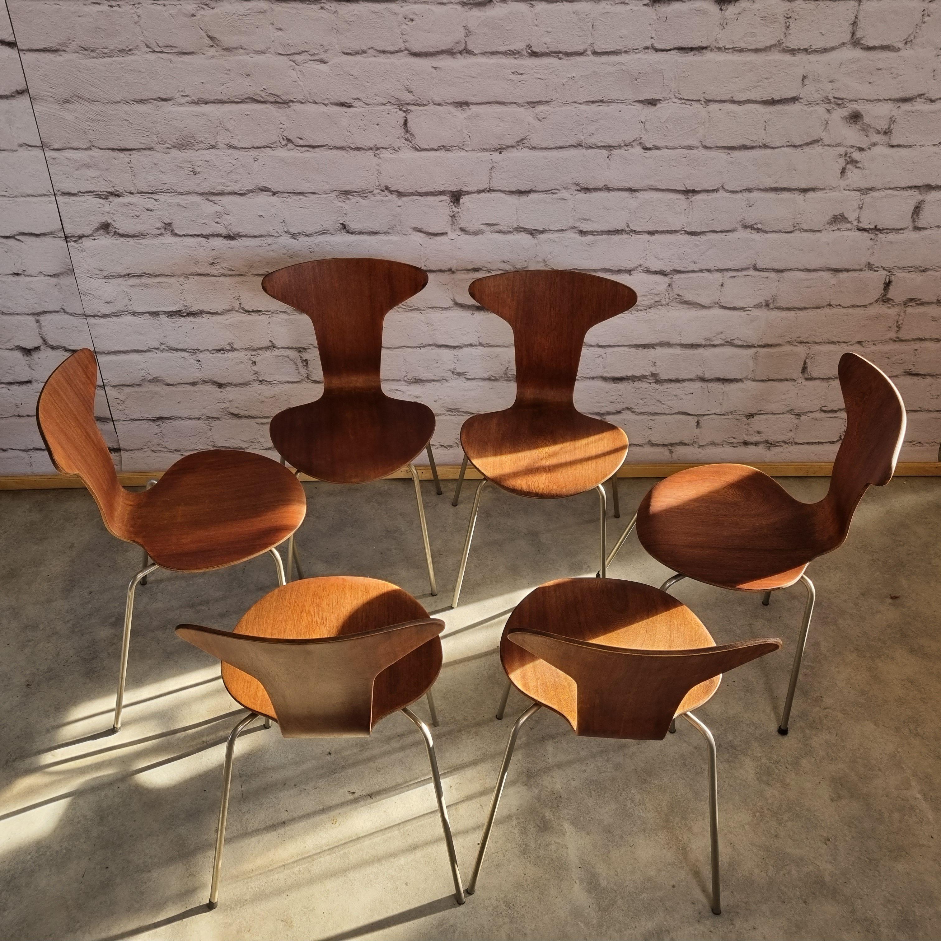 Mid Century 3105 Mosquito Chairs by Arne Jacobsen for Fritz Hansen Set of 6 1