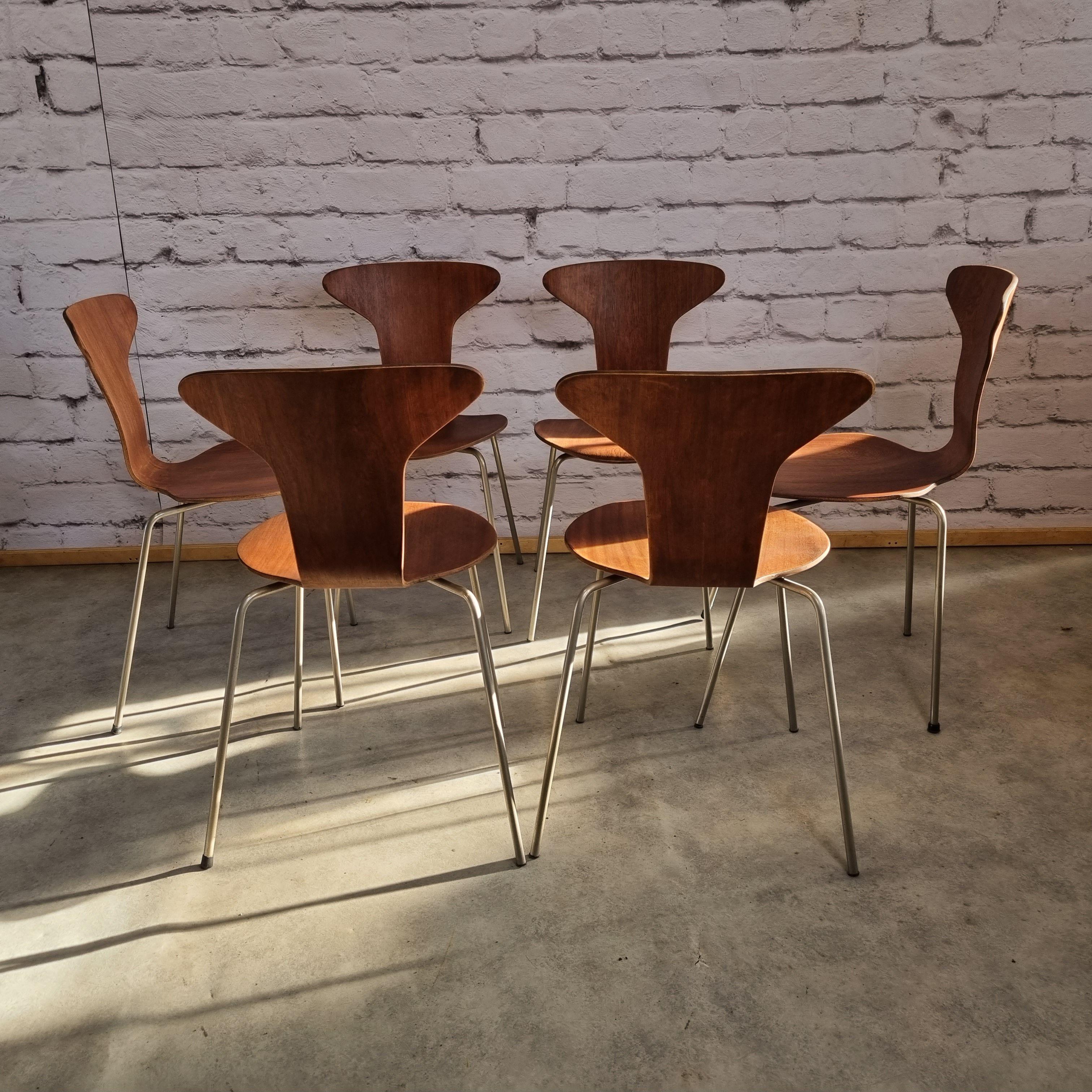 Mid Century 3105 Mosquito Chairs by Arne Jacobsen for Fritz Hansen Set of 6 2