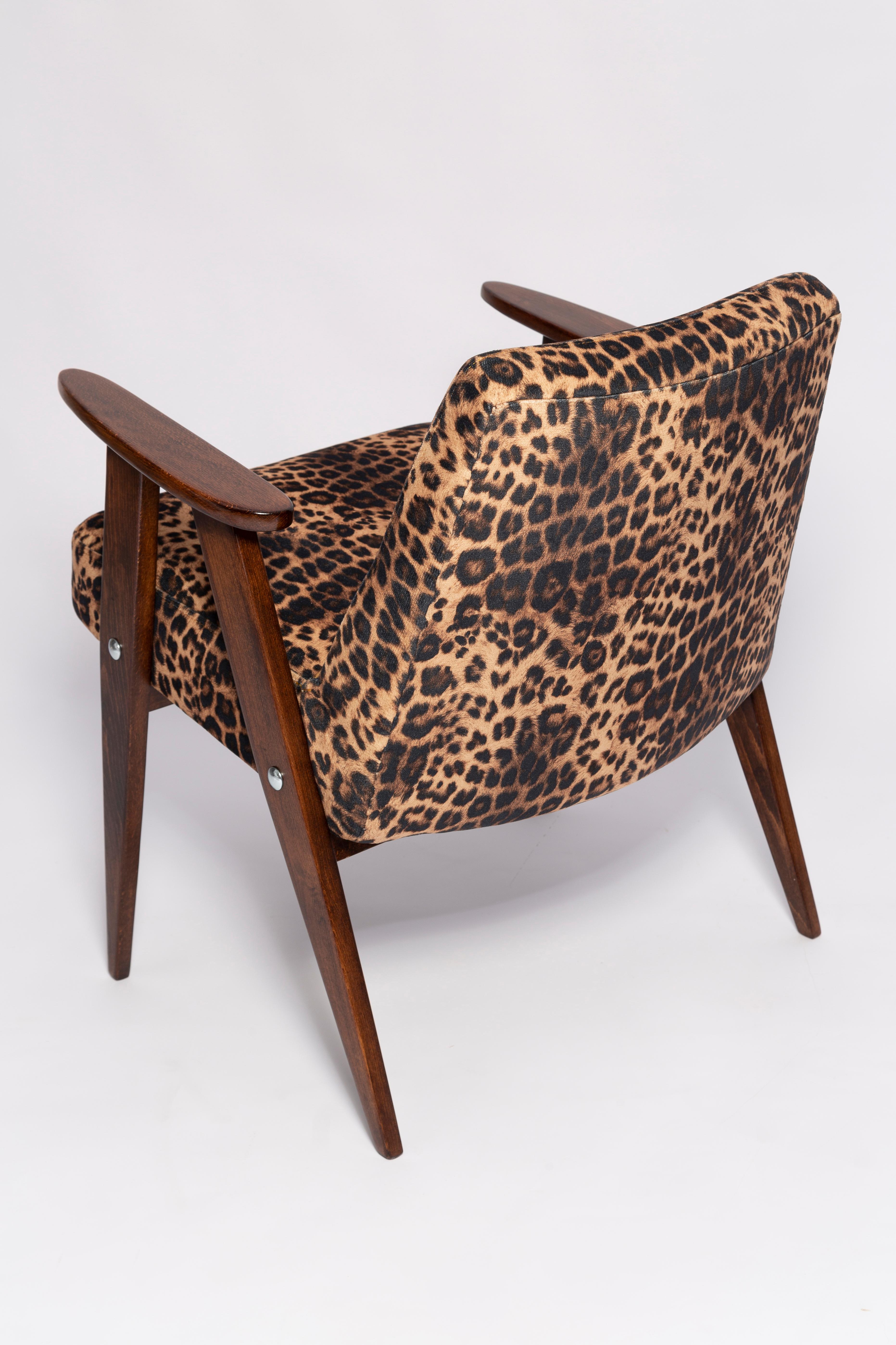 Mid Century 366 Armchair in Leopard Print Velvet, Jozef Chierowski, Europe 1960s For Sale 4